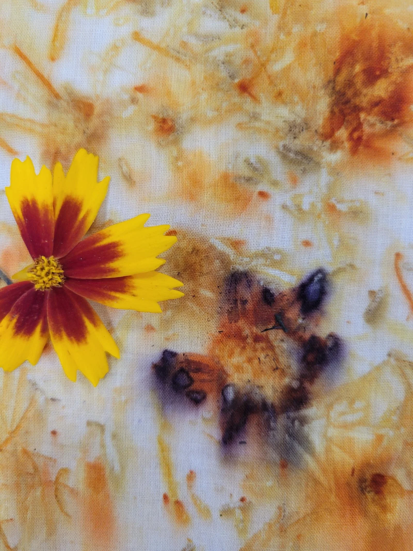 Detail of daisy fabric