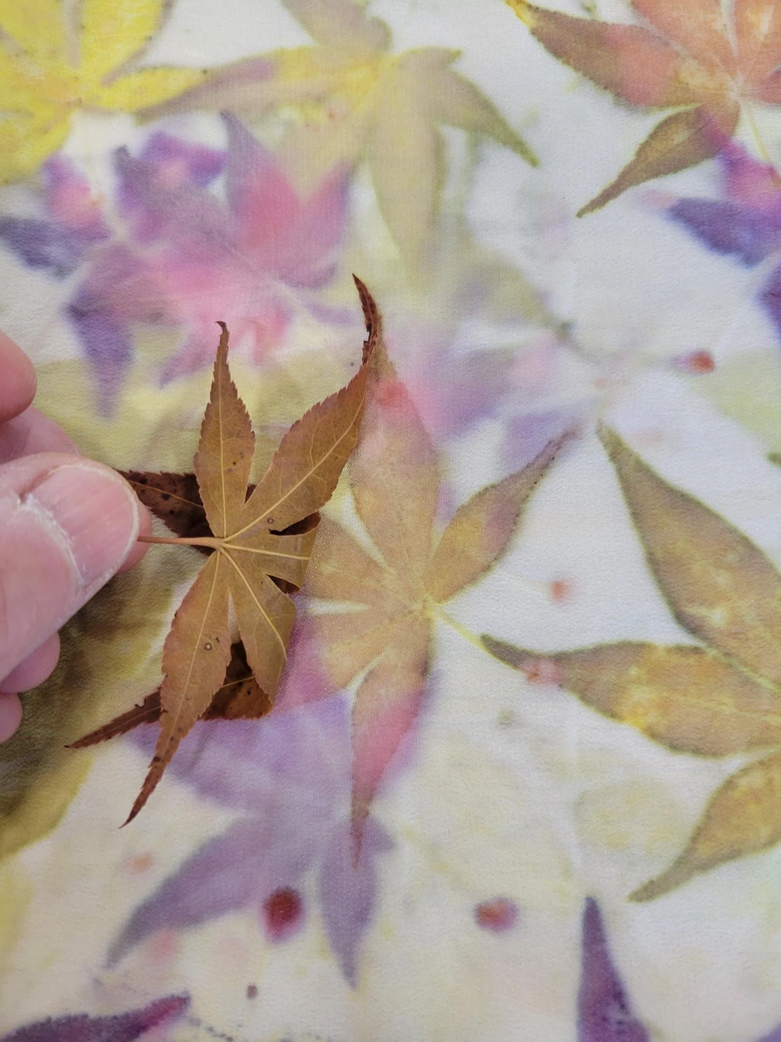 Close up of pulling leaf off of dyed fabric, revealing the dye left by the leaf