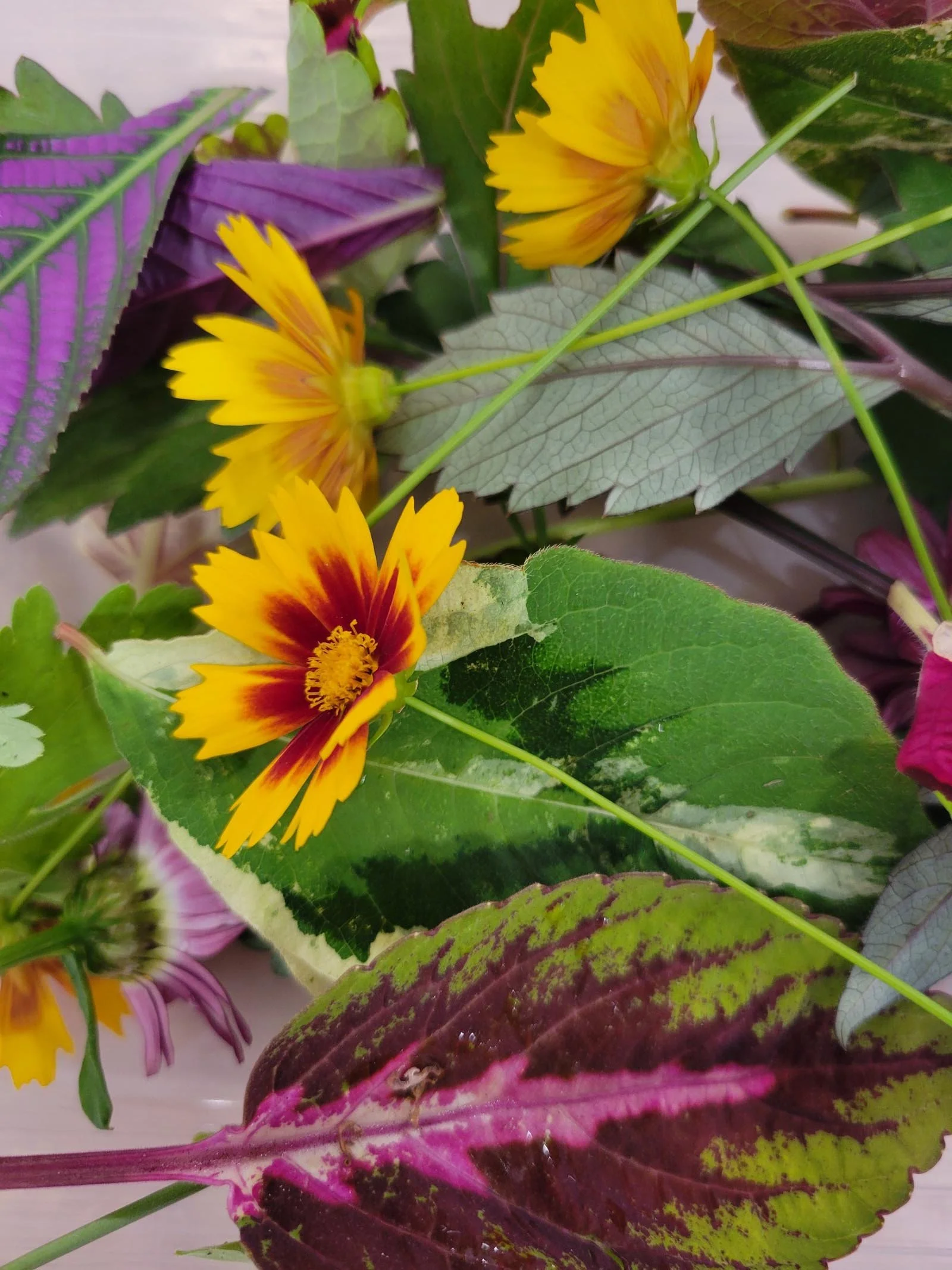 Pile of botanicals