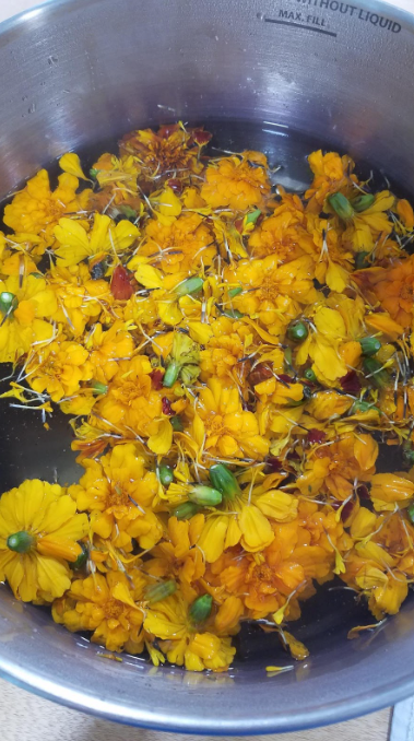 Marigolds in a pot of water