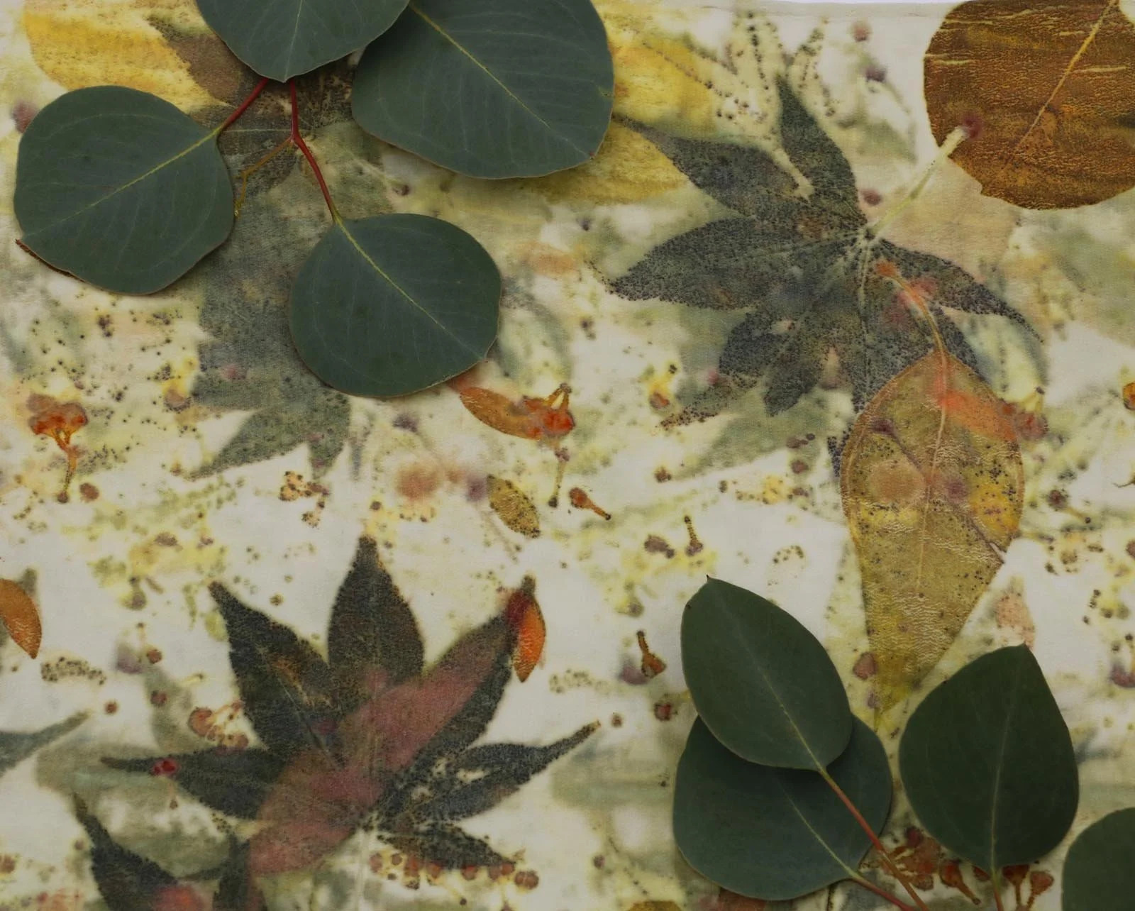 An arrangement of botanicals atop one of Robyn Borges' textiles