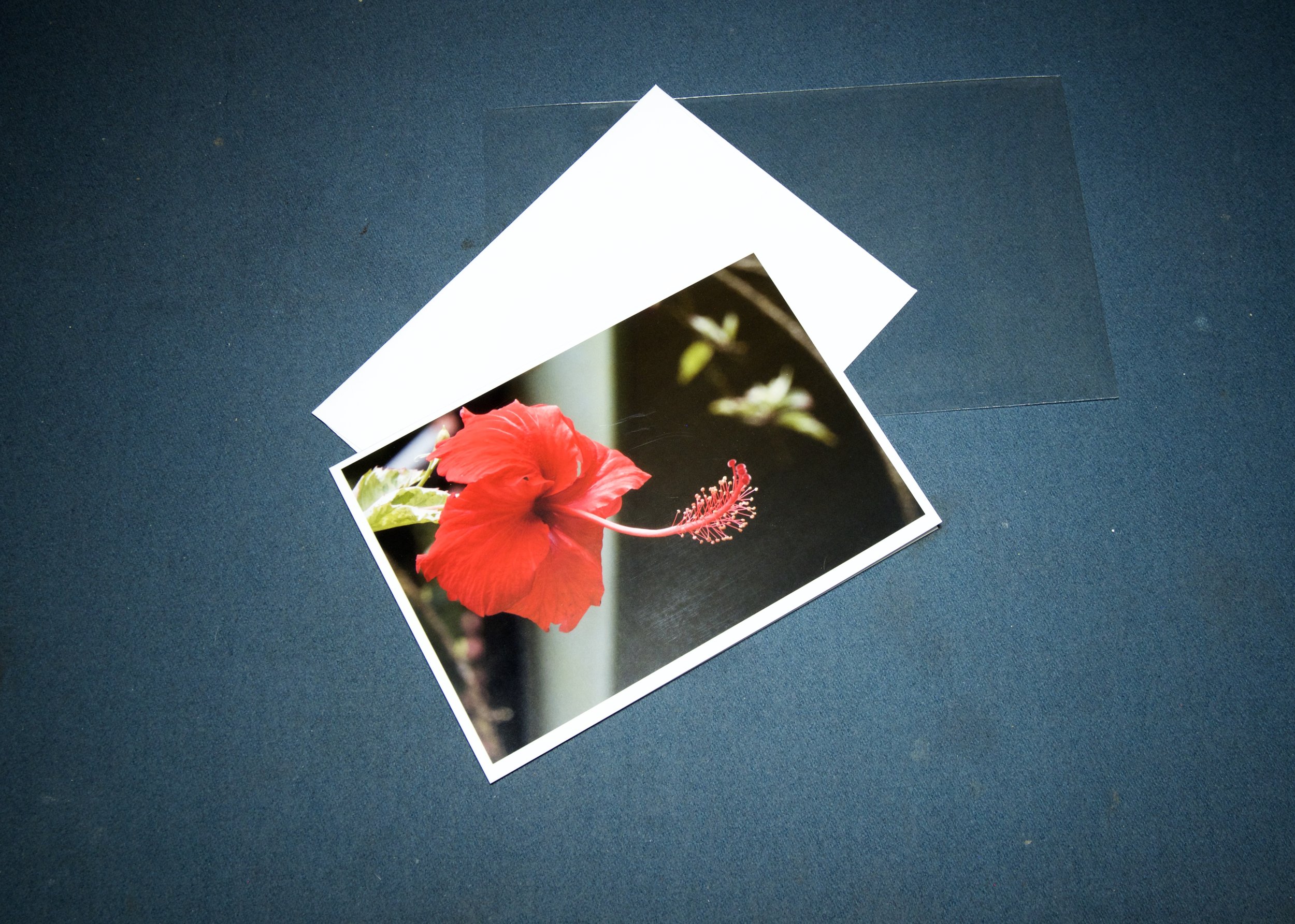 3 elements Red flower and long pistle.jpg