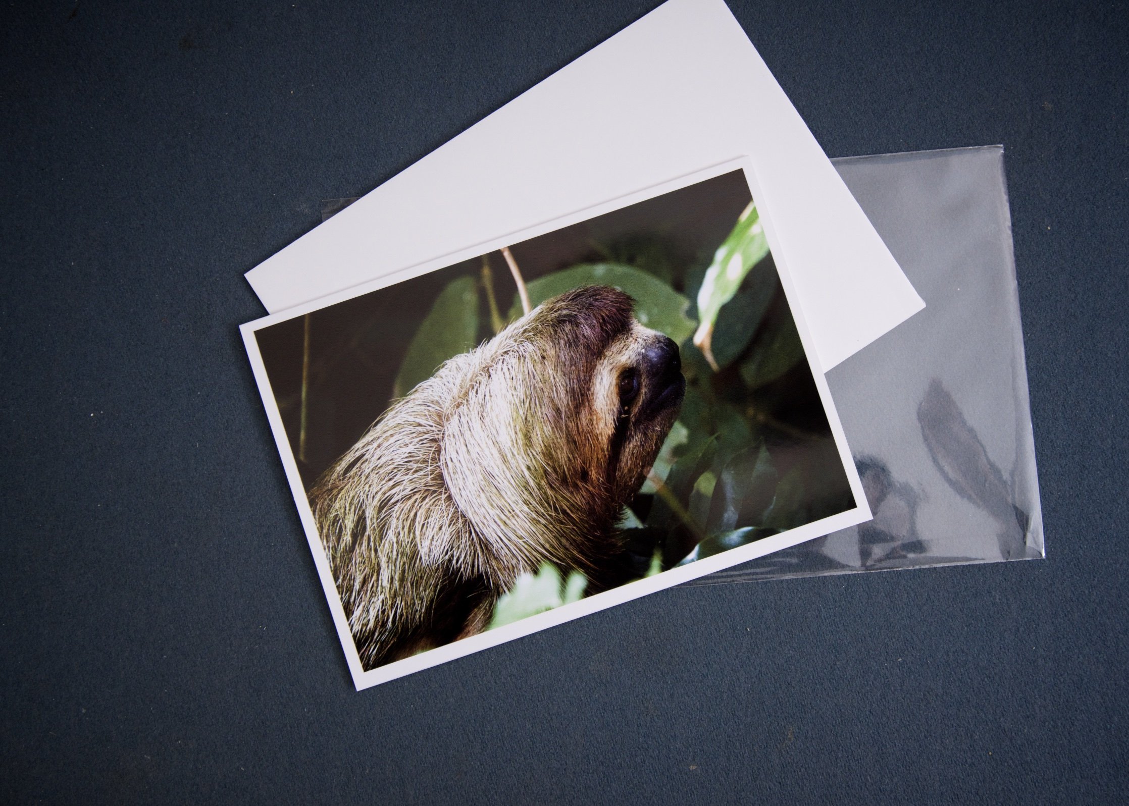 3 elements Sad Sloth.jpg