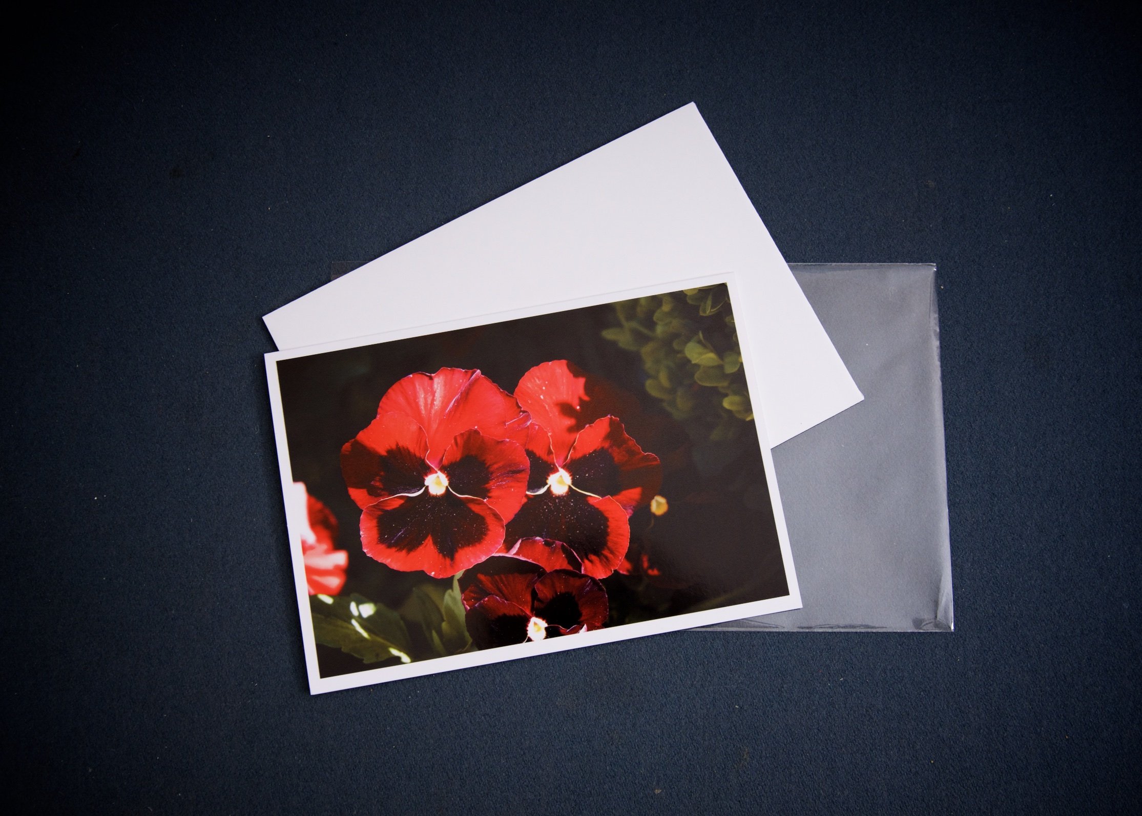 3 elements Red Pansies.jpg