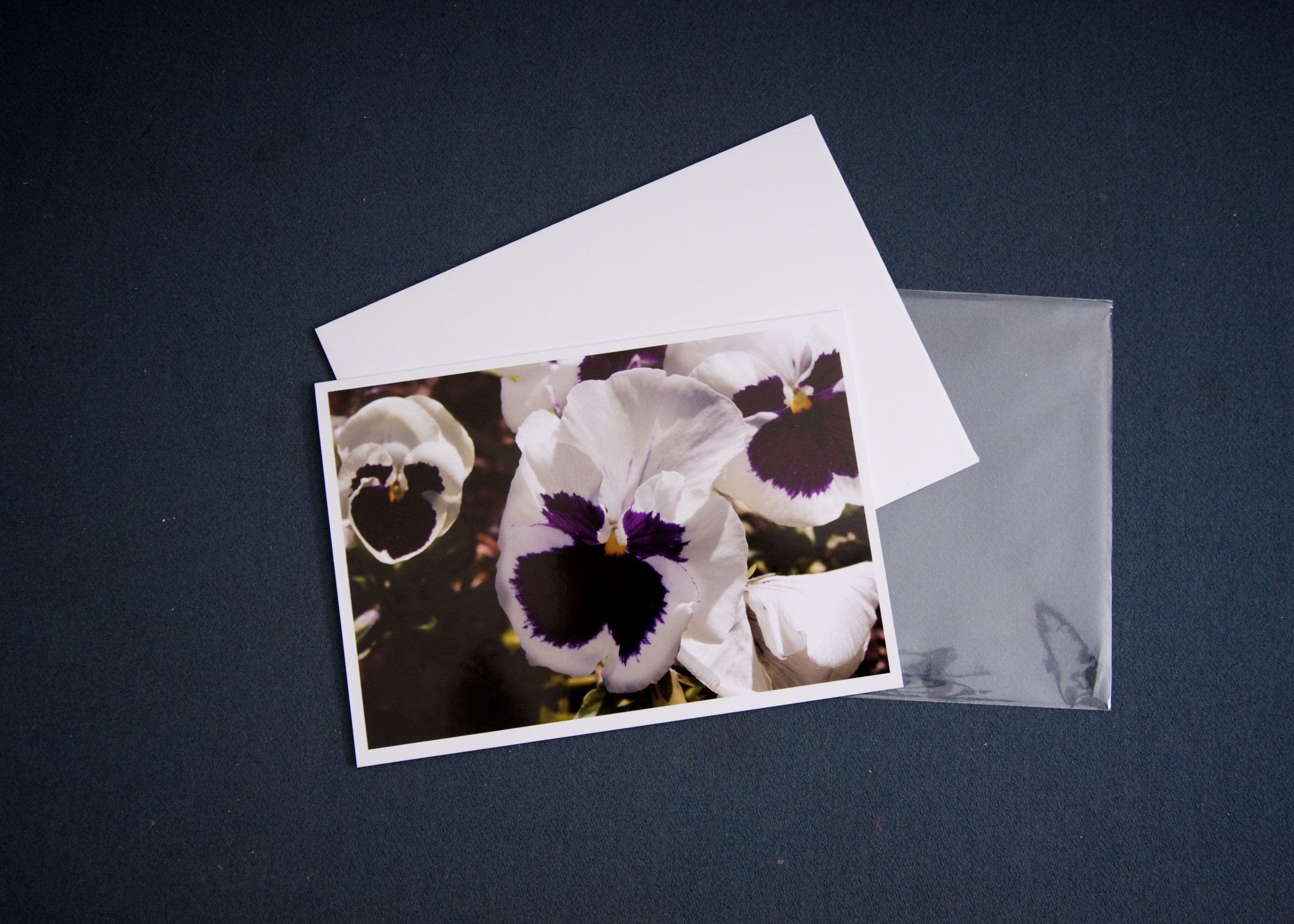 3 elements While and Purple Pansy Guy.jpg