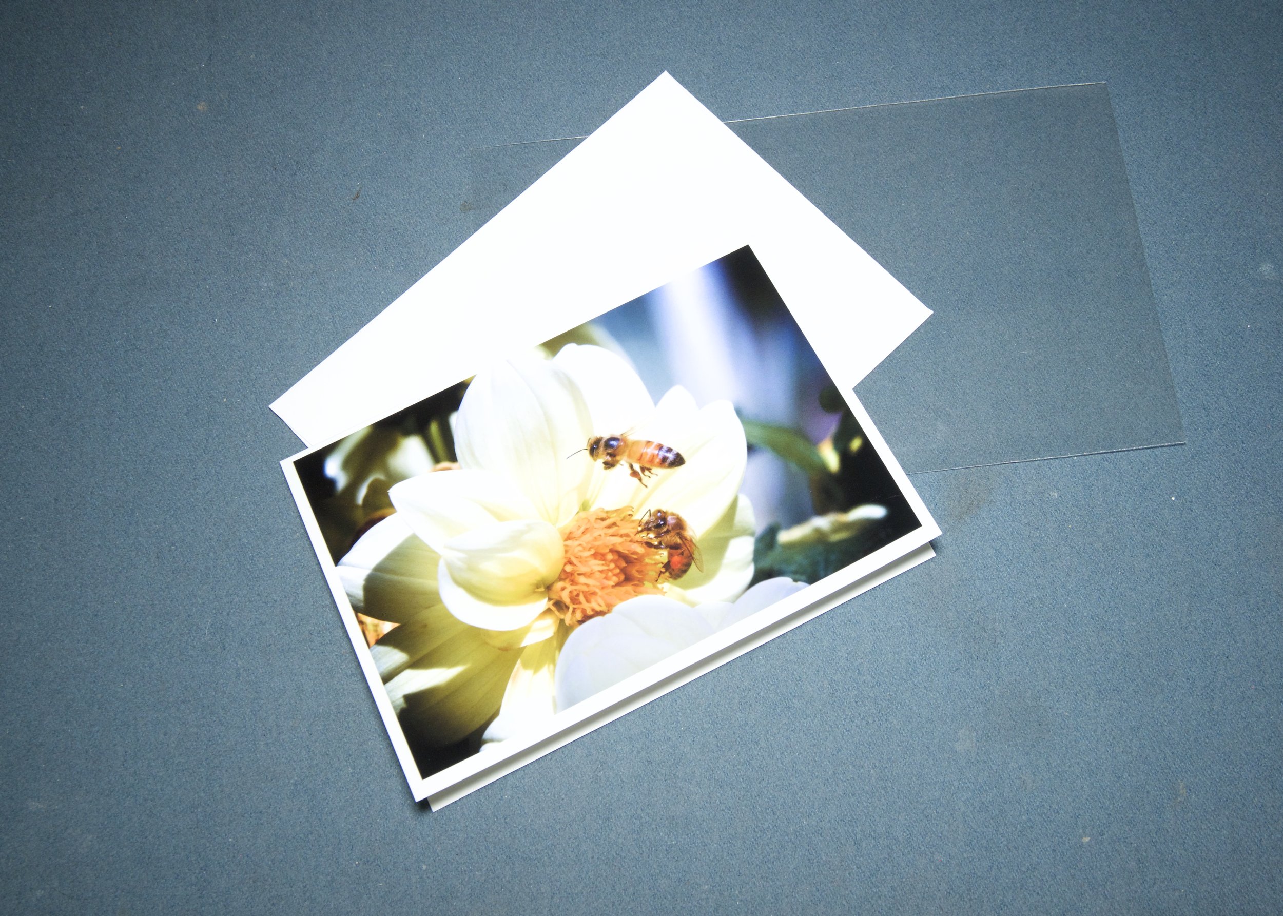 3 elements Bees.jpg
