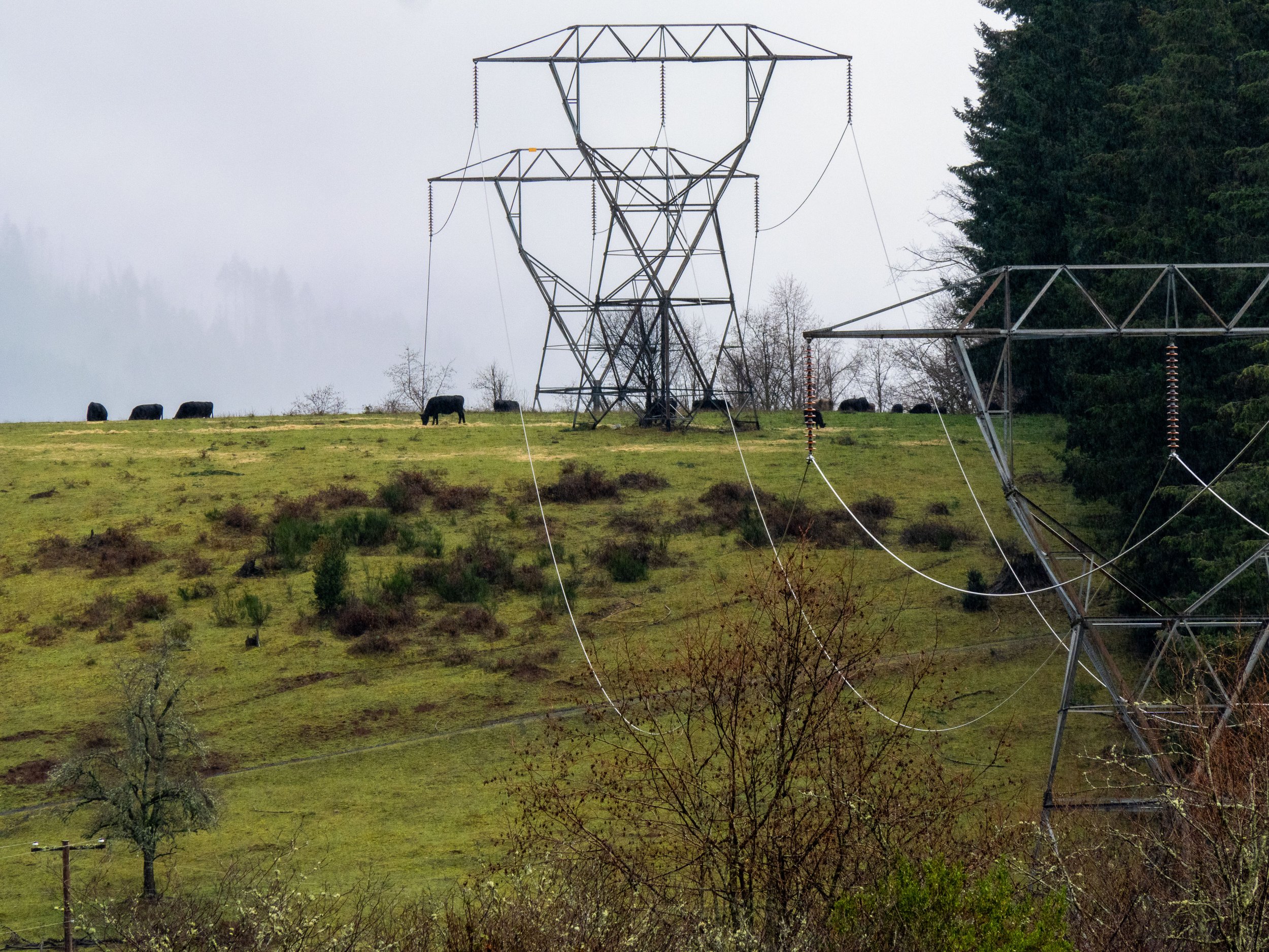 Power lines south of Gates, Ore. (Brian Burk)