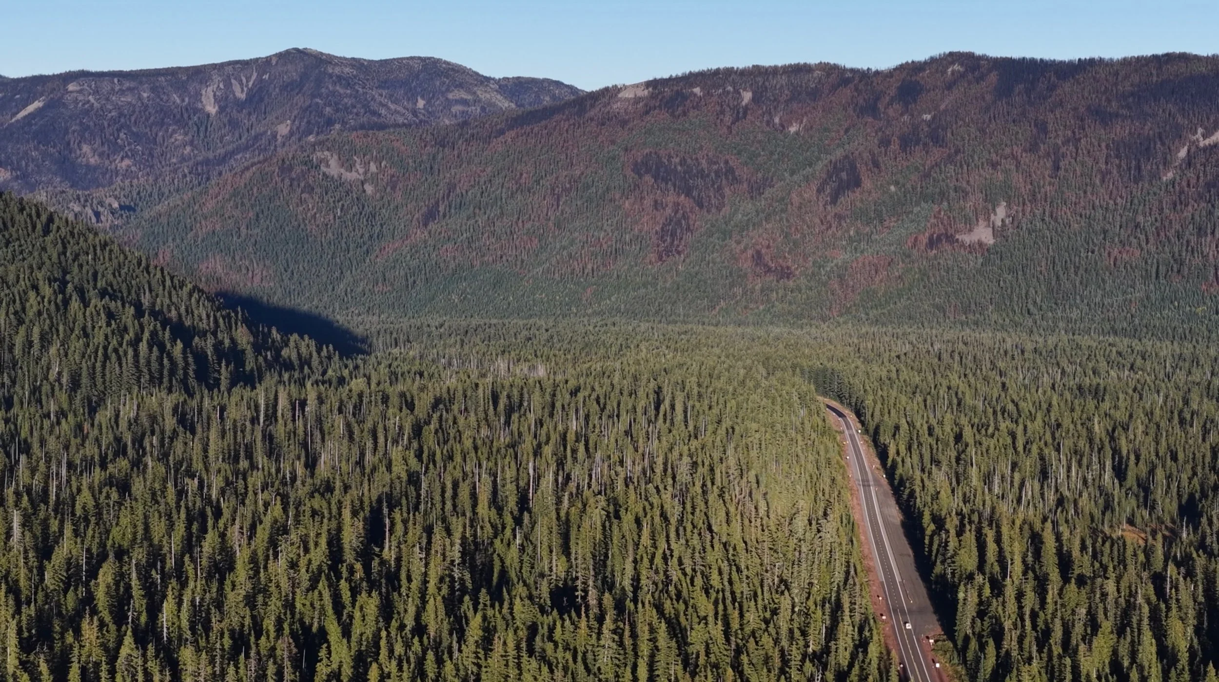Aerial photo of Highway 35 looking northeast from Bennett Pass taken after the Grasshopper Fire in Mt. Hood National Forest. (Courtesy @GreenOregon YouTube)
