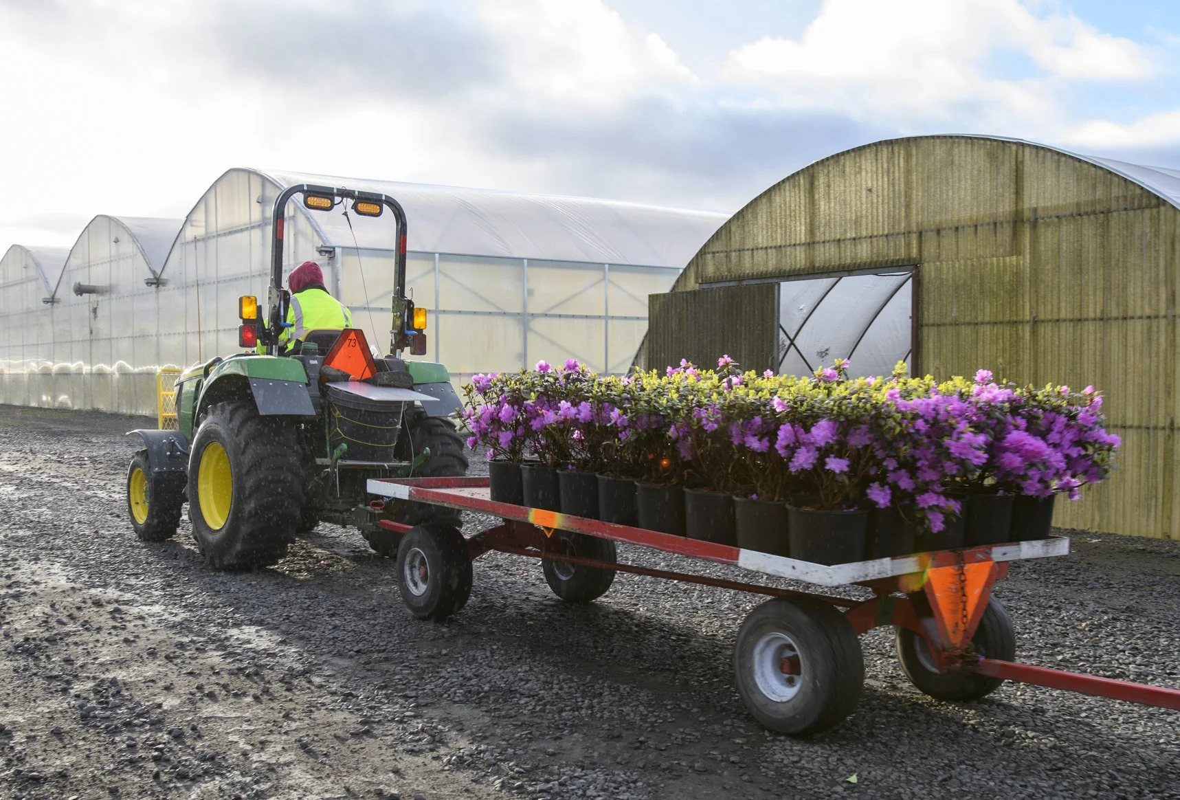 3_25_26 Fessler Nursery (3 of 43).jpg