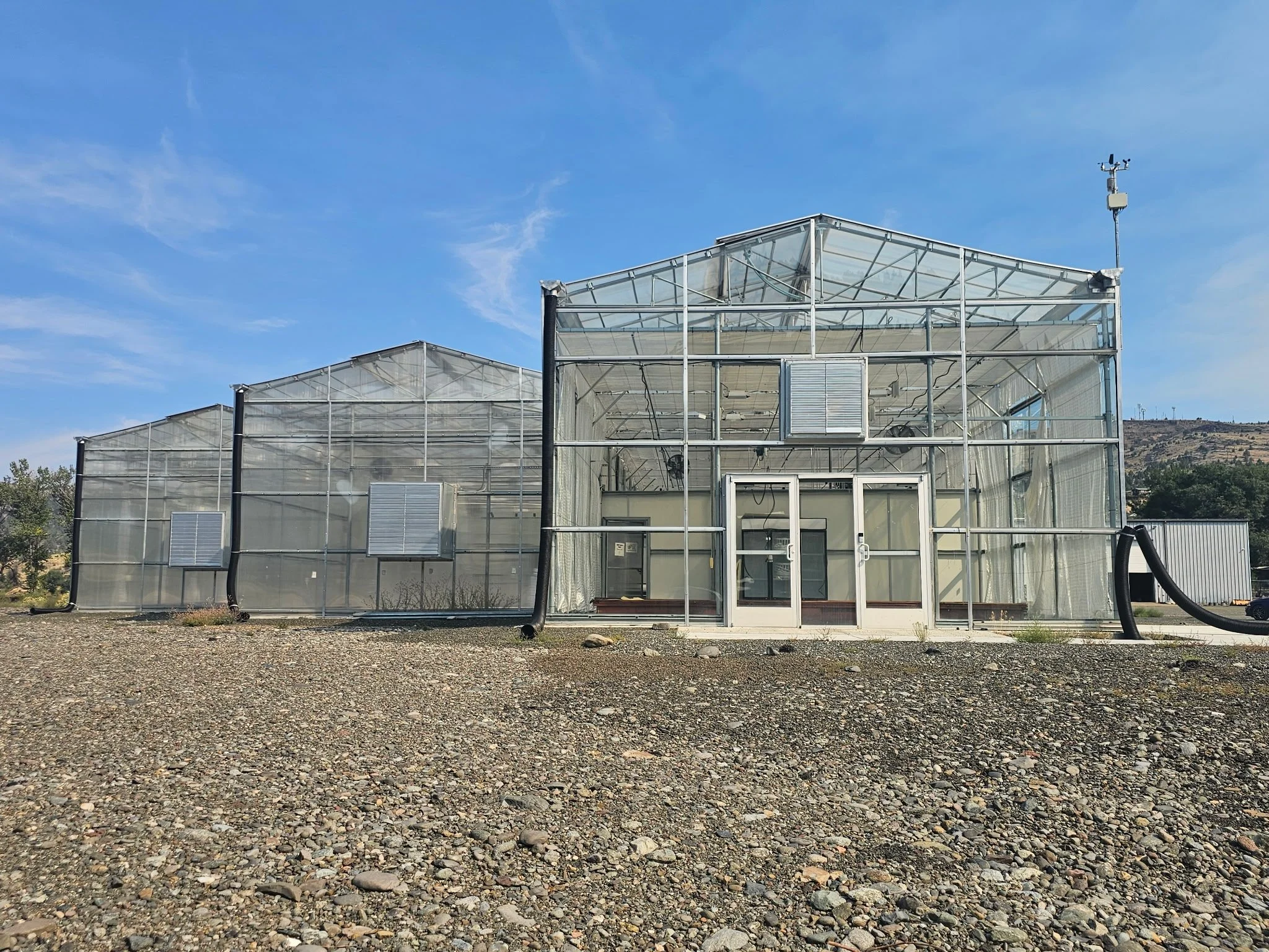 EMPTY HOUSES: Nick Green hoped John Day’s now abandoned municipal greenhouses would help lure new residents. (Justin Davis)