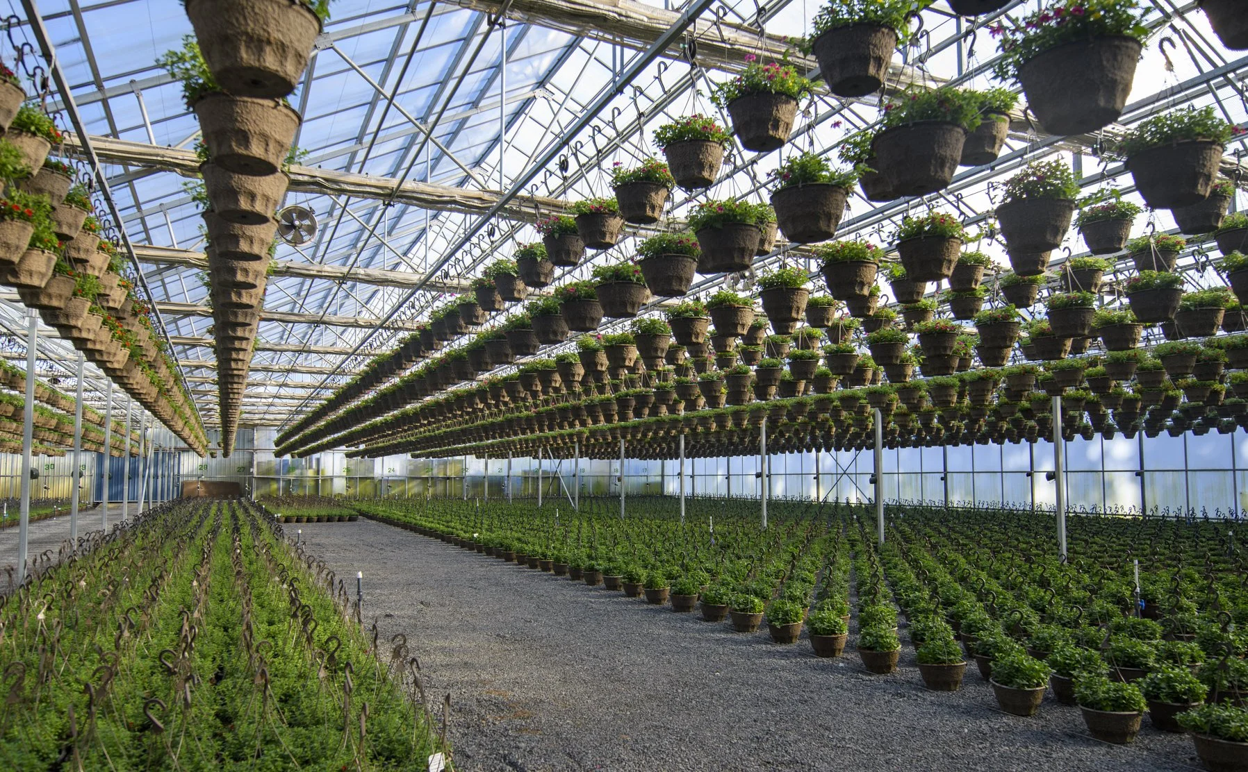 3_25_26 Fessler Nursery (20 of 43).jpg