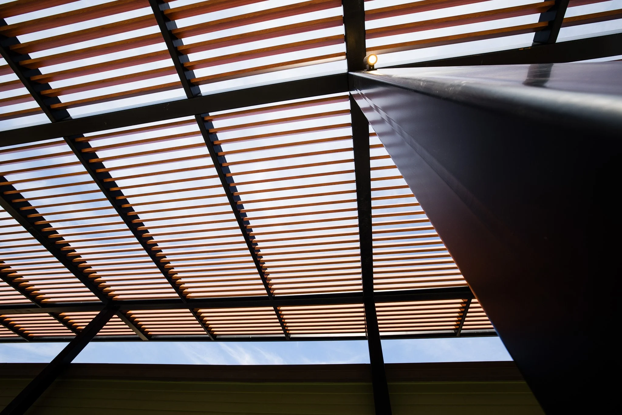 longboard woodgrain install park outside