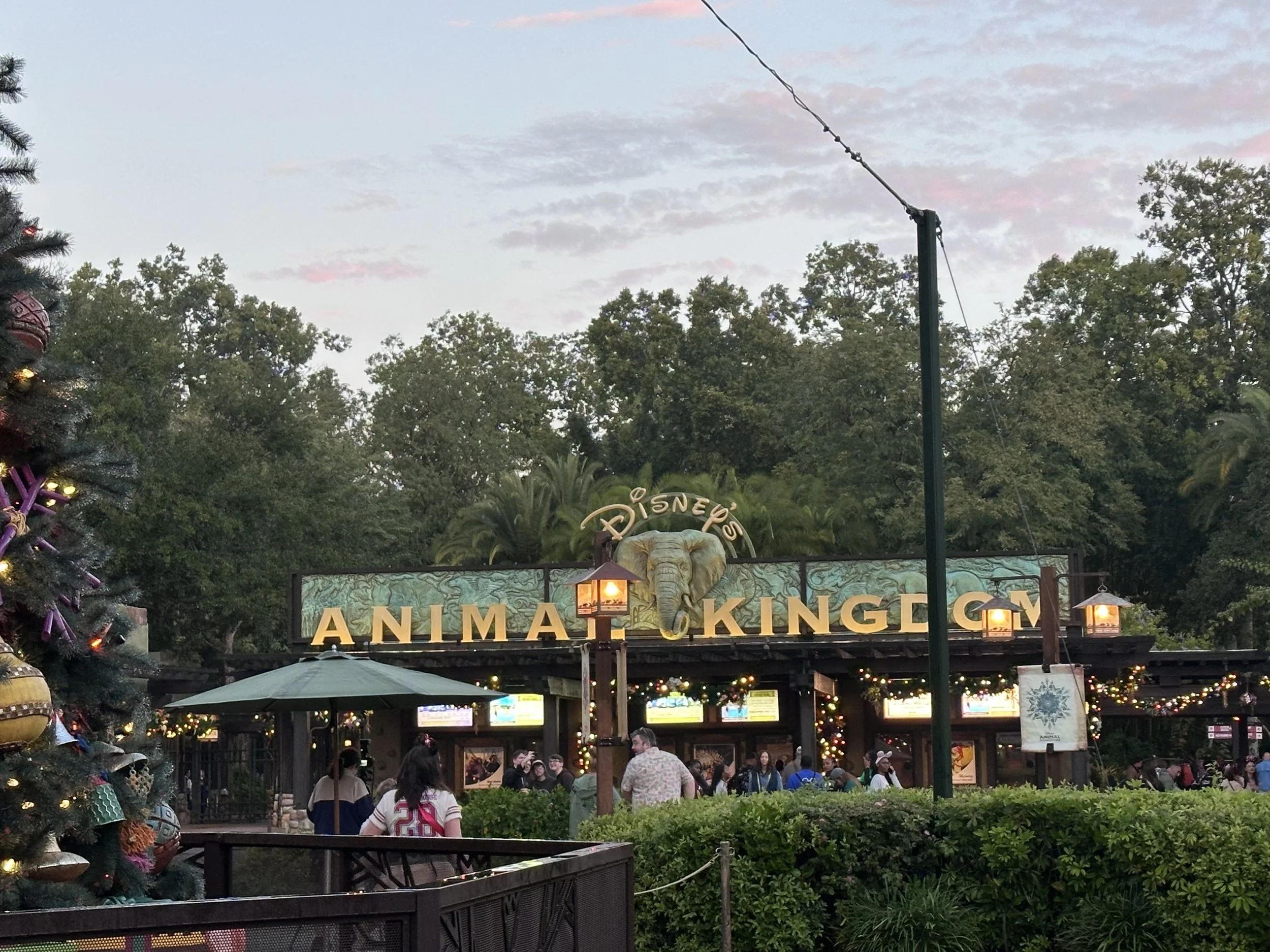 Disney’s Animal Kingdom entrance during the holidays at Walt Disney World
