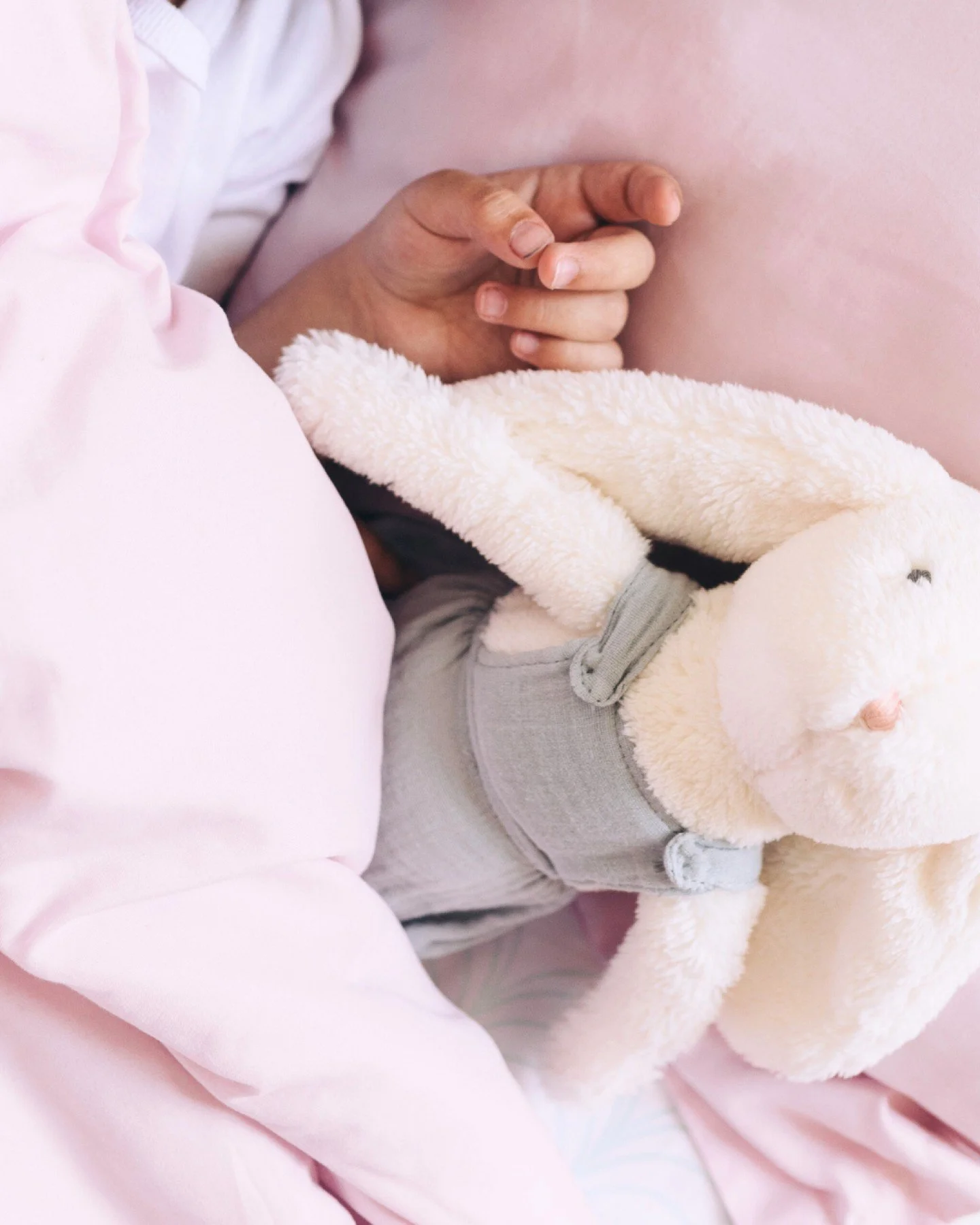 💤 As summer winds down, so do the late nights, slow mornings, and relaxed routines.

While that easy pace is one of summer&rsquo;s perks, it can make those first early school mornings feel rough.

The good news? You don&rsquo;t have to wait until th