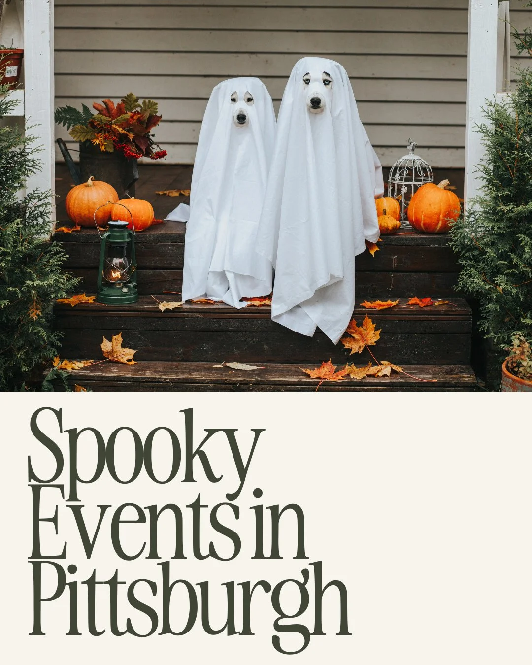 From ghost stories by the campfire to haunted trails &amp; mini-golf in the dark, we rounded up the best spooky events happening in Pittsburgh this season. 👻

Link in bio for the full guide 🔗

#PittsburghMoms #PittsburghFall #SpookyEvents #Hallowee