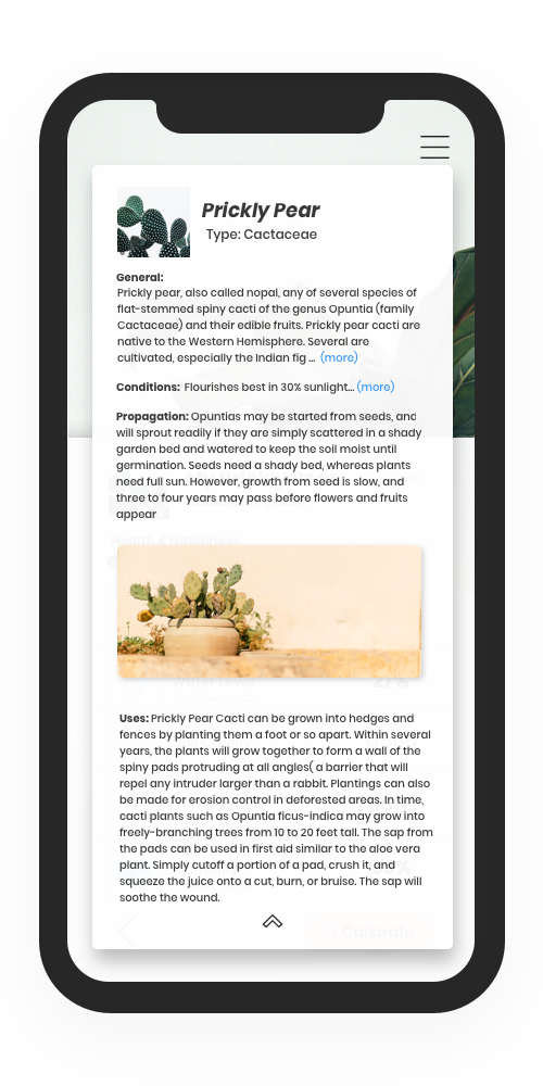 Plant+Profile+Information+Mockup.png