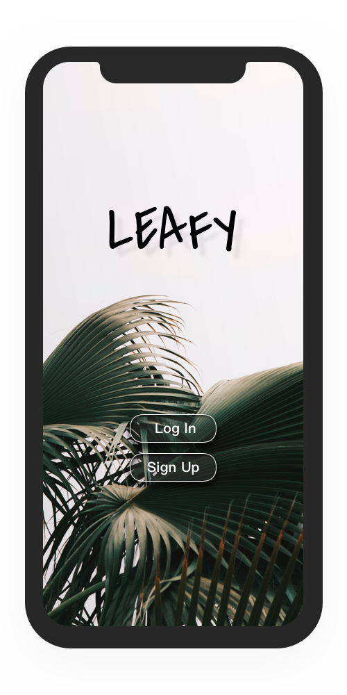 Splash+Screen.png