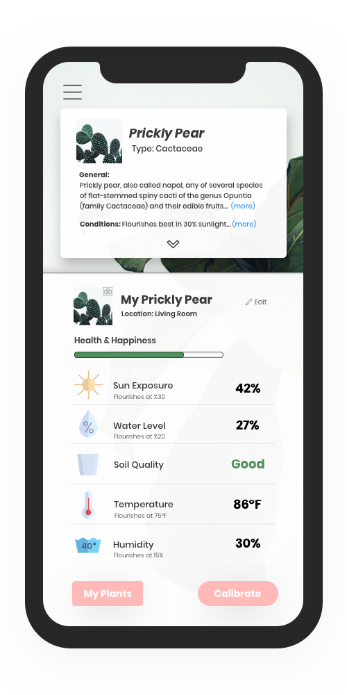 Plant+Profile.png