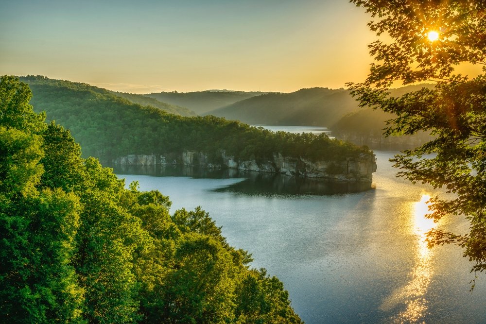 When data fuels collaboration.