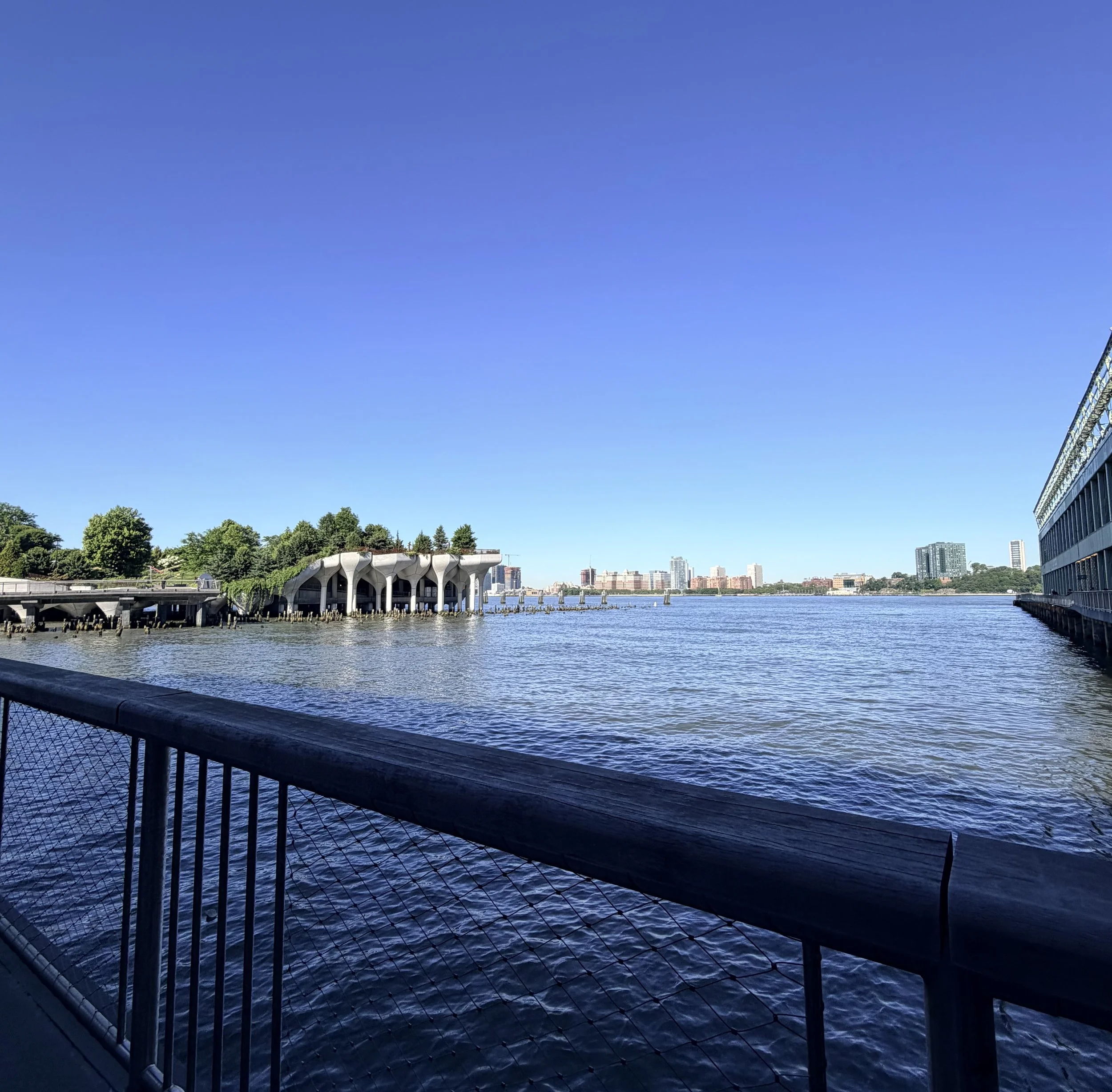 IMG_3129.jpeg
