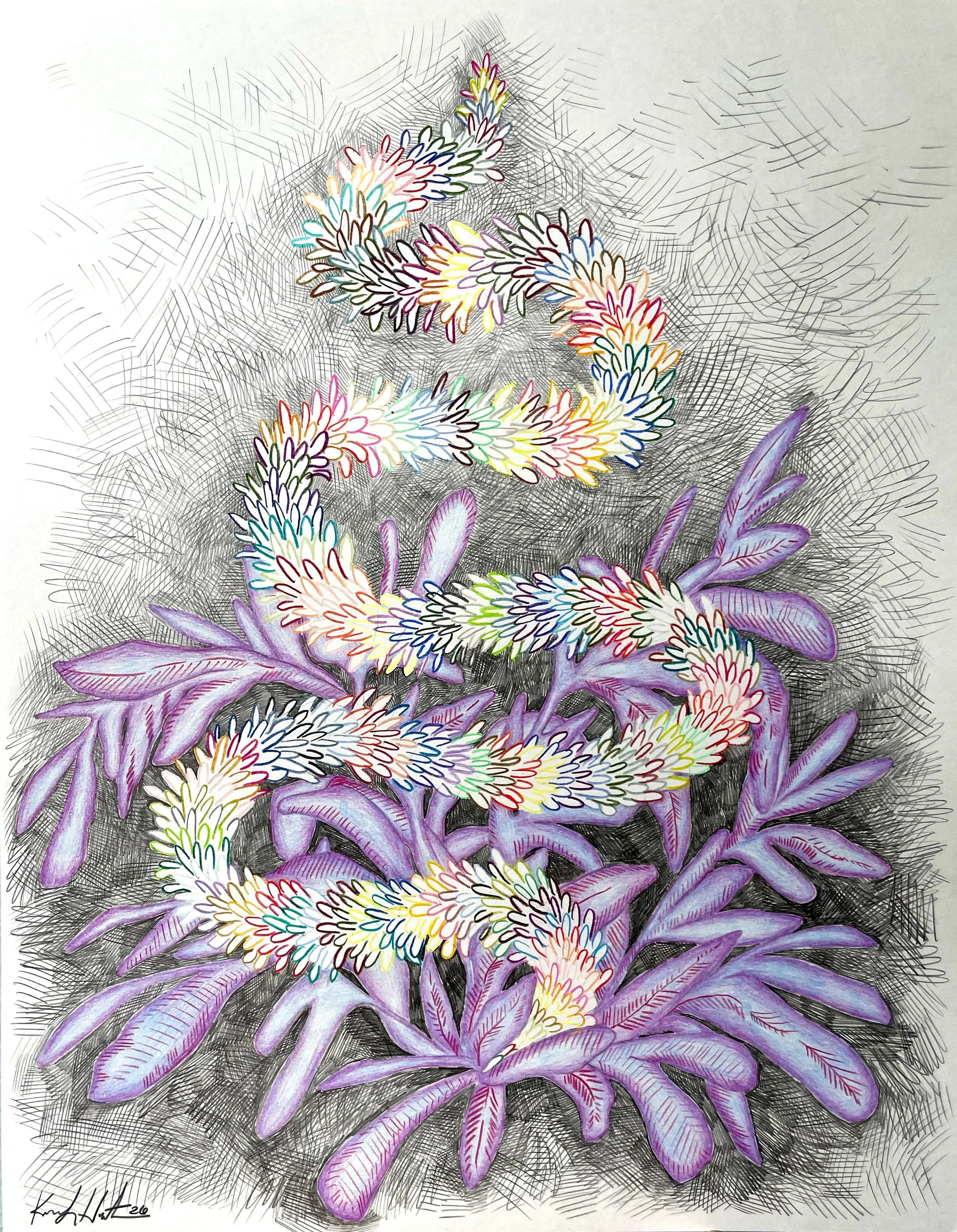 Weed No.2.jpg
