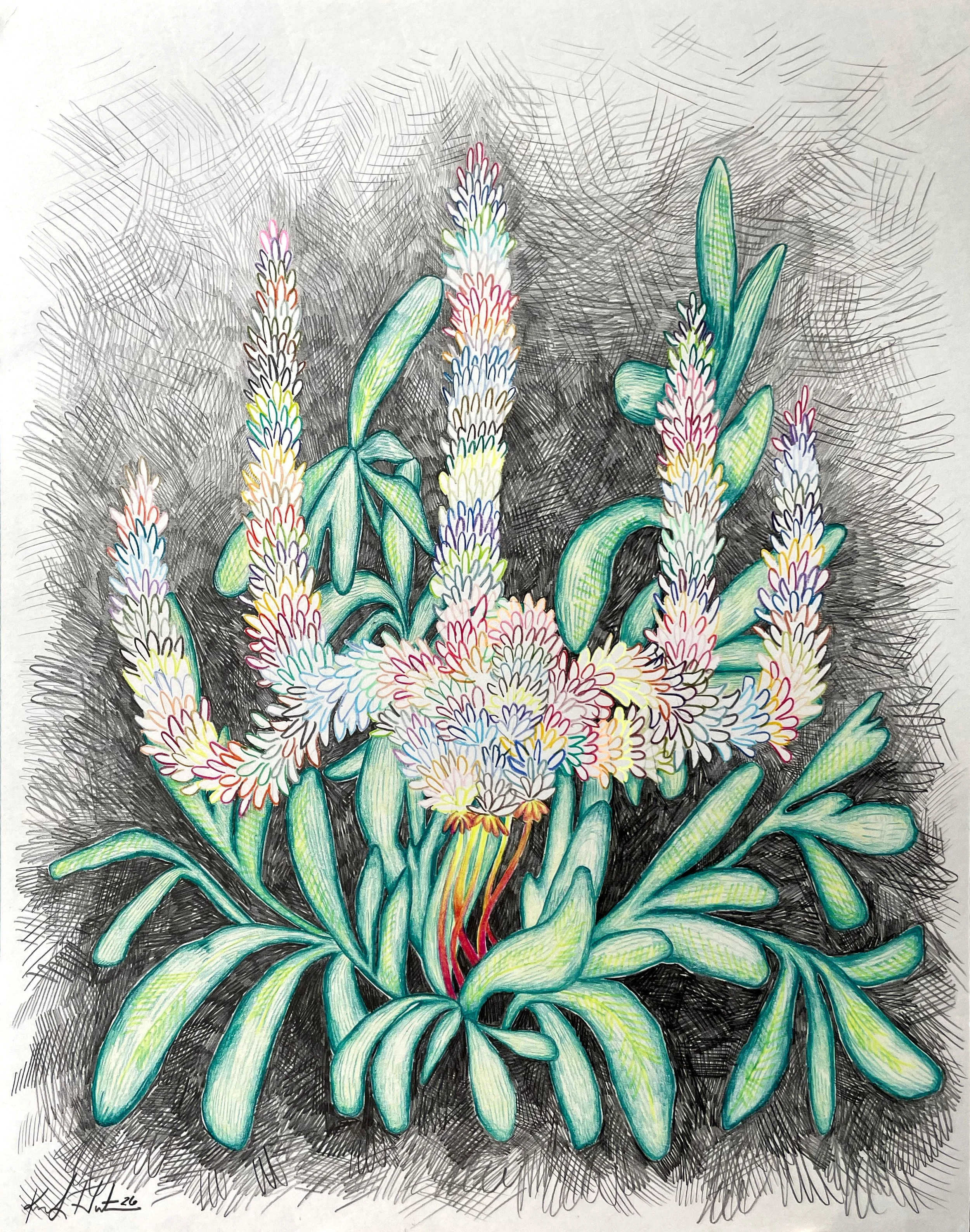 Weed No.1 (3).jpg