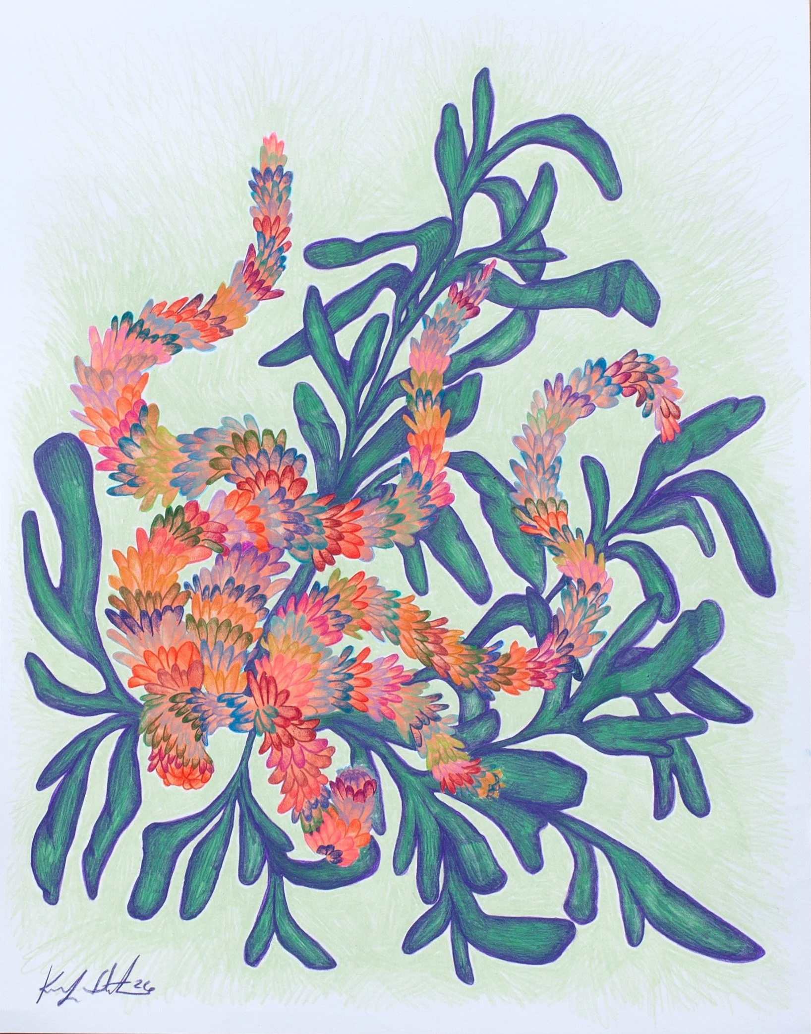 Weed No.4_.jpg