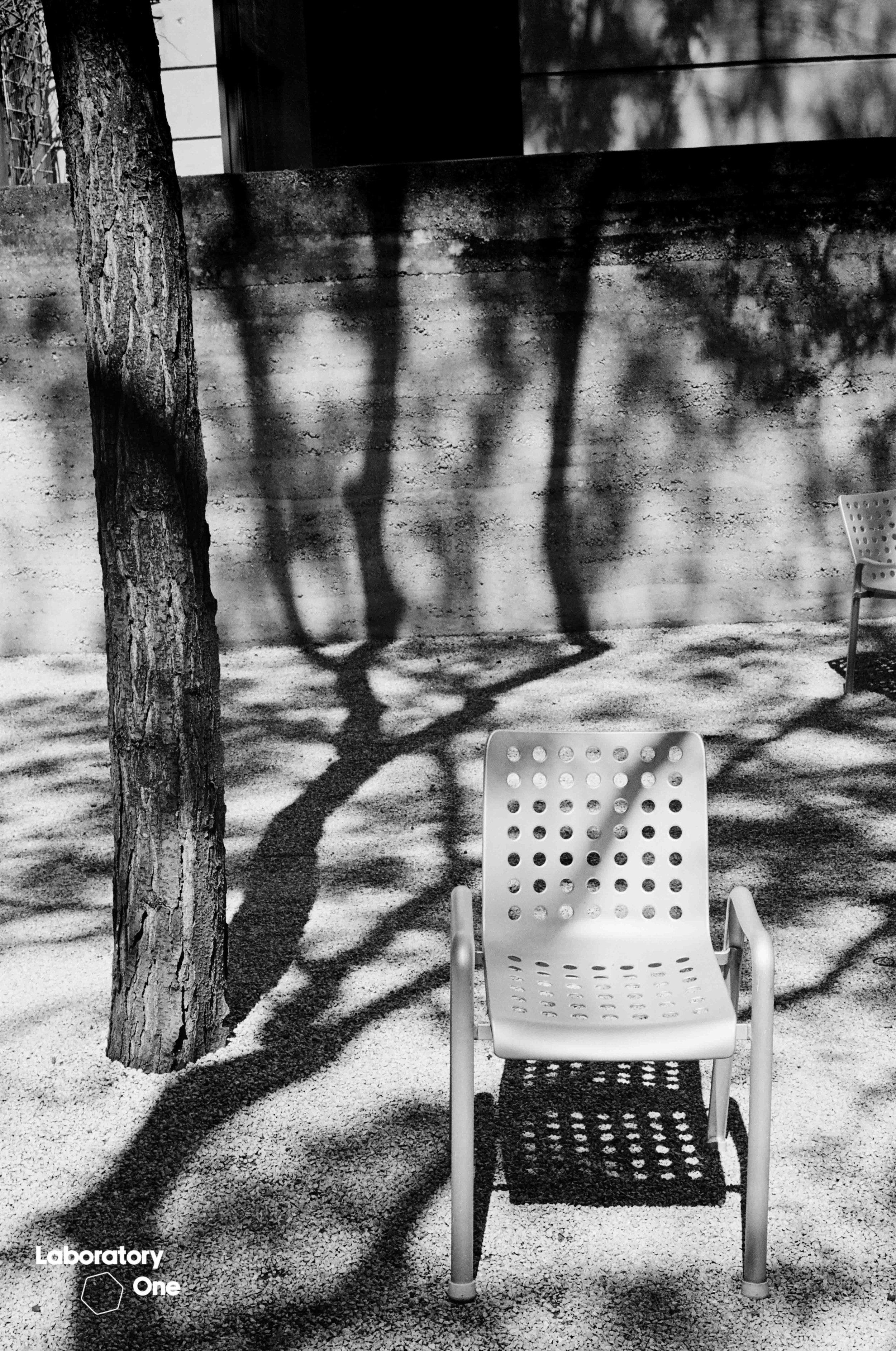 546230540016Cologne_Chair_Tree-Website_Low_Res.jpg