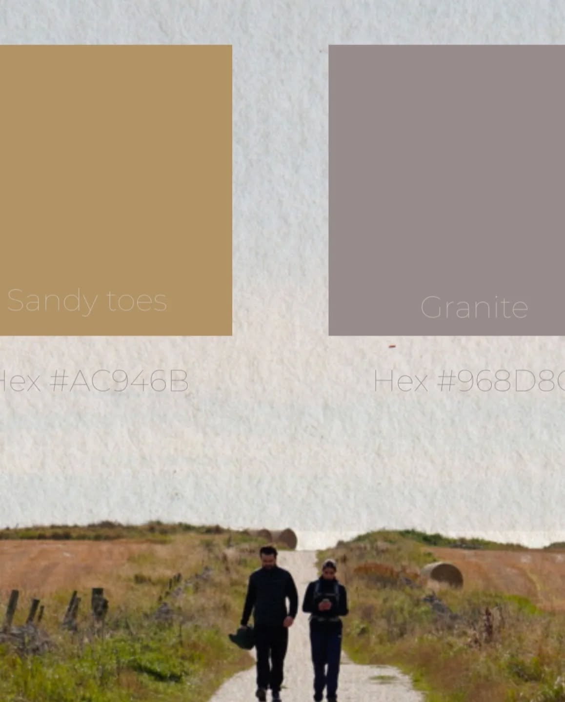 Insights into branding 3/3 

Colour palettes close to home from natural sources.