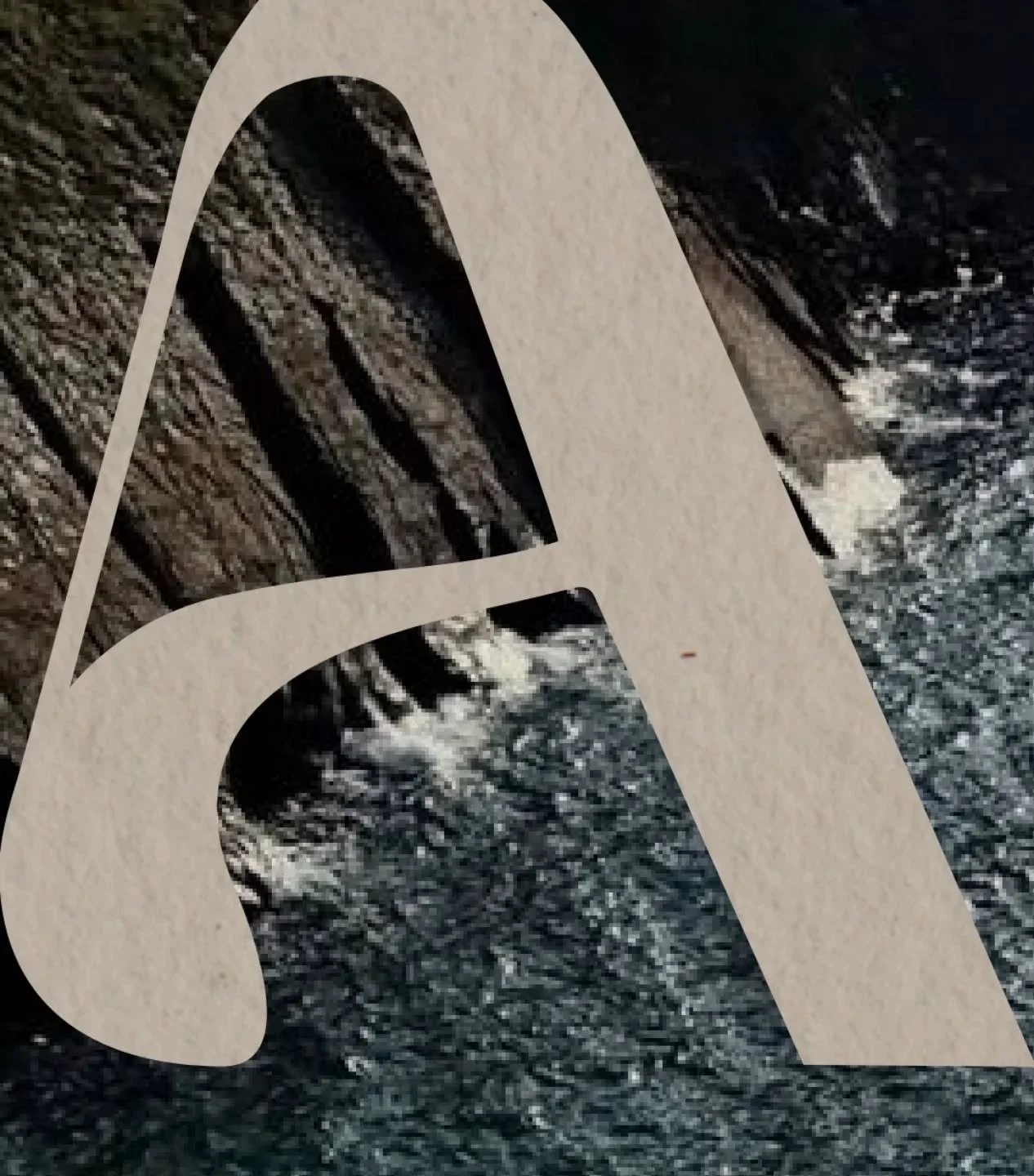 Insights into branding 2/3 

Custom typography for harmonizing lines within the identity.