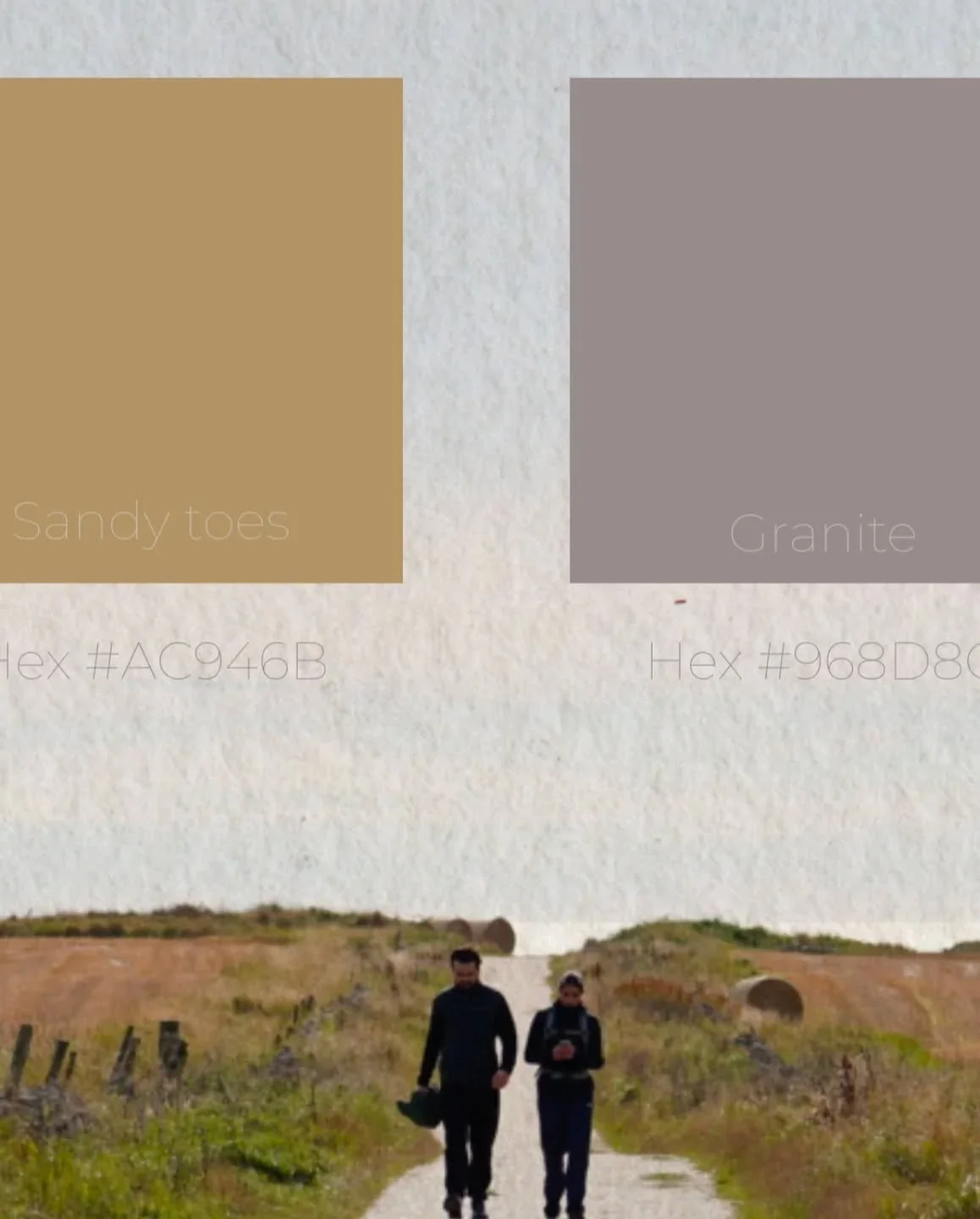Insights into branding 3/3 

Colour palettes close to home from natural sources.