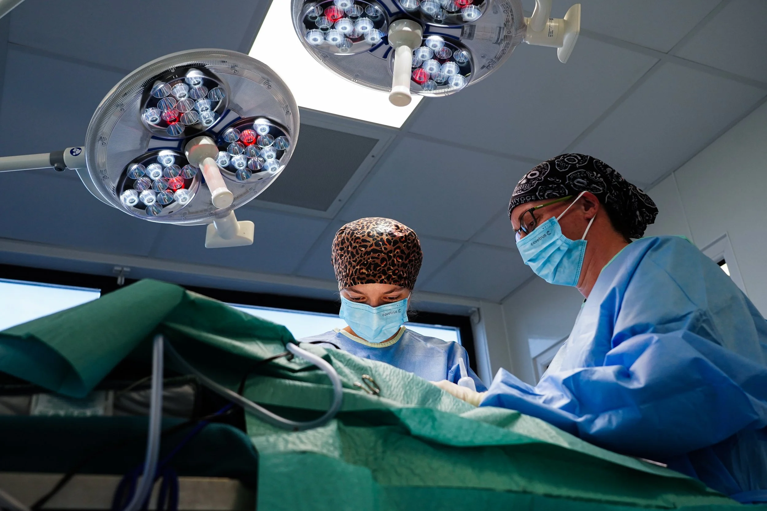 Cùmath Pet Surgeons - Clinical