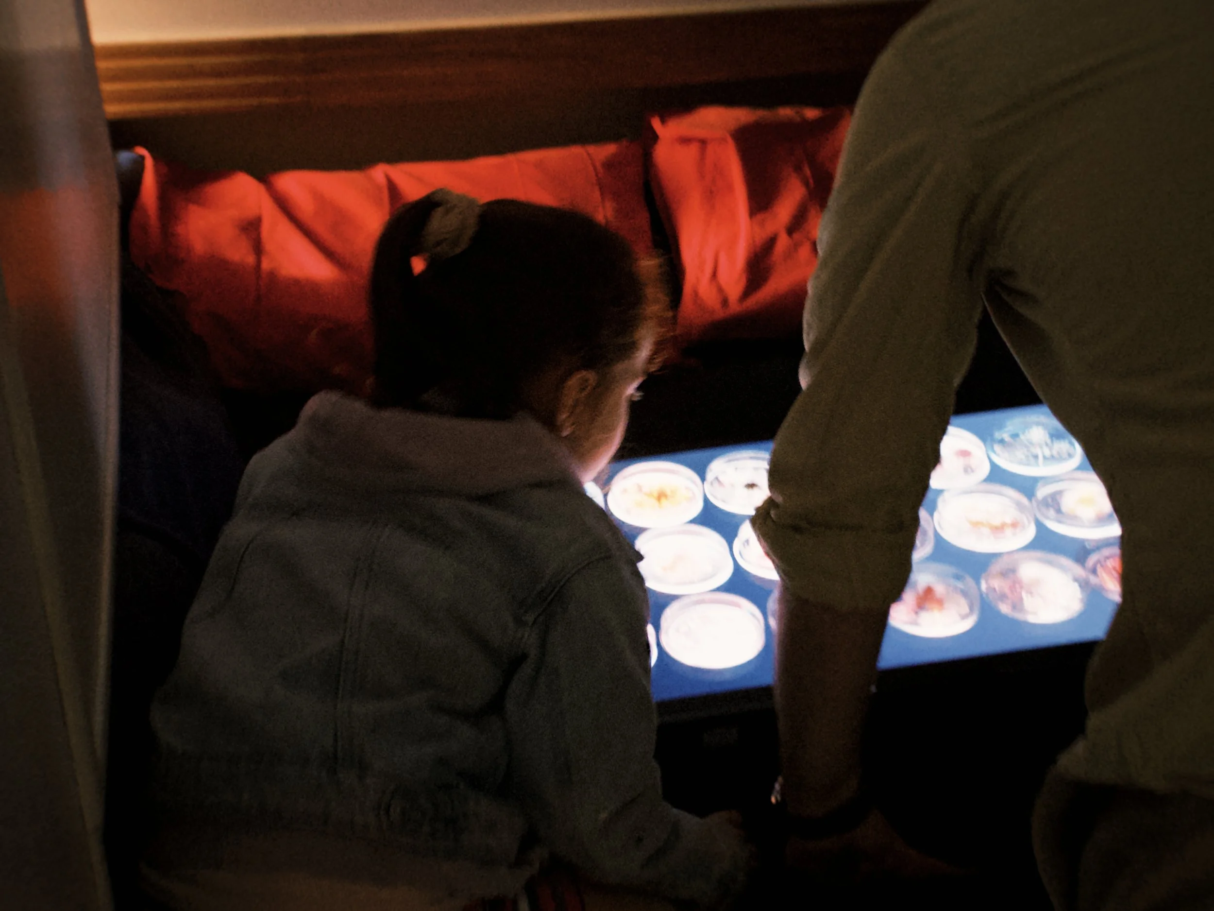 fxn 2024-06-08 153329.077.JPG