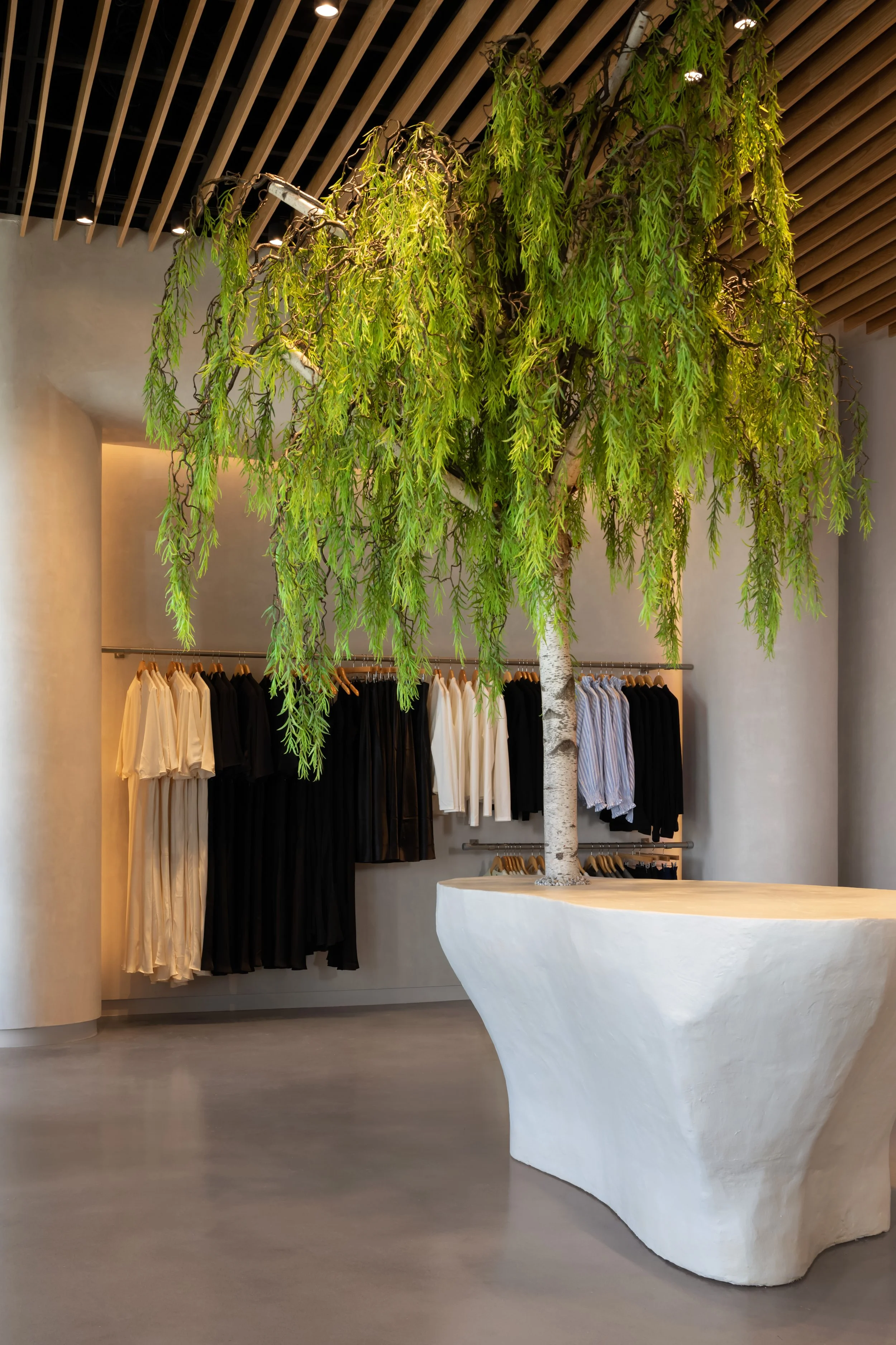 Commercial space captured by Shmily Treger - Professional interior photographer