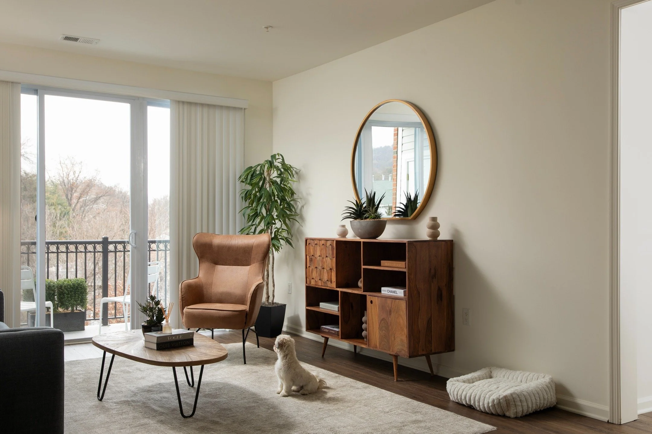 She wasted no time claiming the space as her own. 🐶

#interiorphotography #interiorphotographer