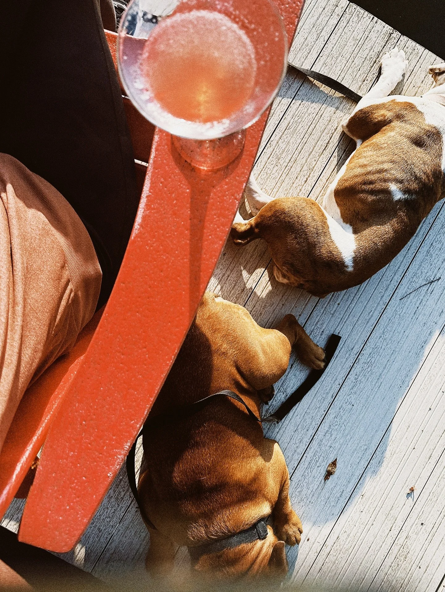 📸: Docktime, Krista Resnick 2025

This is what I see when I look down. Two bulldogs, content, happy, snoozing my by side- favorite cocktail in hand, watching the sun melt behind the horizon. 

Here&rsquo;s what I&rsquo;m (still) learning&hellip;. th