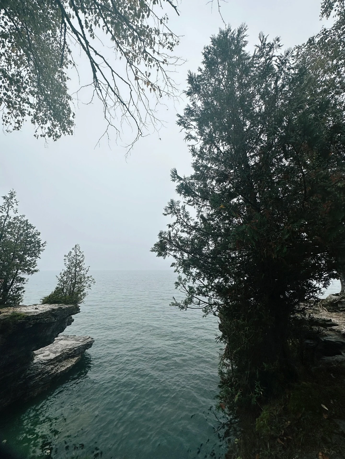 Releasing what no longer aligns can be an uncomfortable place to reside.

And yet&hellip;. when we&rsquo;re ready, slowly unfurling one clutched finger at a time,  we start to create space for something more authentic to take root. Maybe it&rsquo;s a