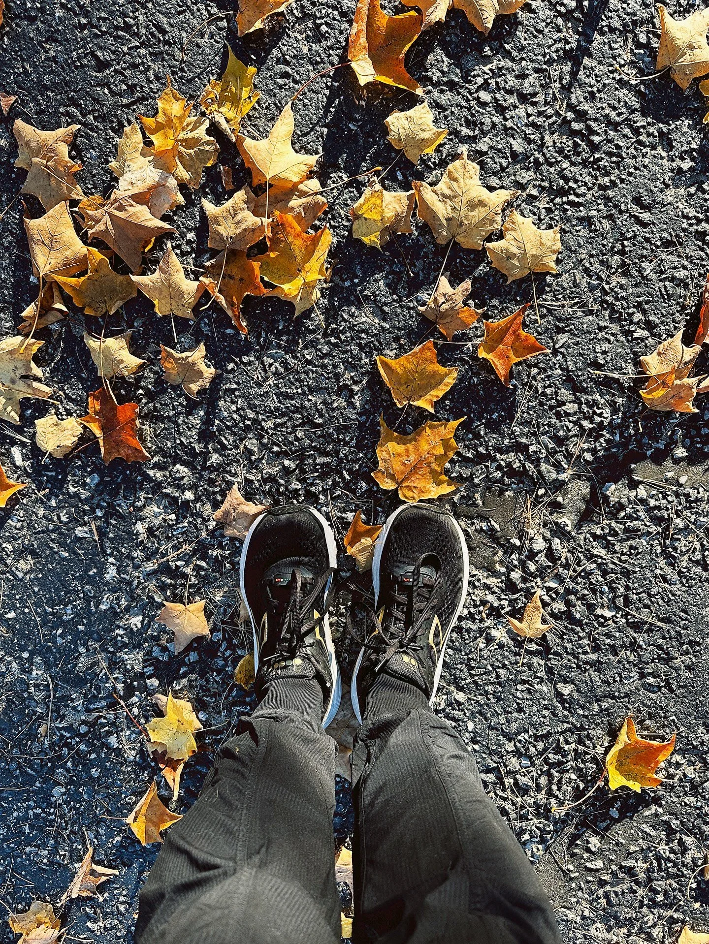 You cannot hold unto what no longer makes you feel alive. 
Life brings us &lsquo;pivots&rsquo; - things we never saw coming, didn&rsquo;t ask for or choose.  The pivot feels like it takes our very life force. 
But when the fog lifts a little and you 