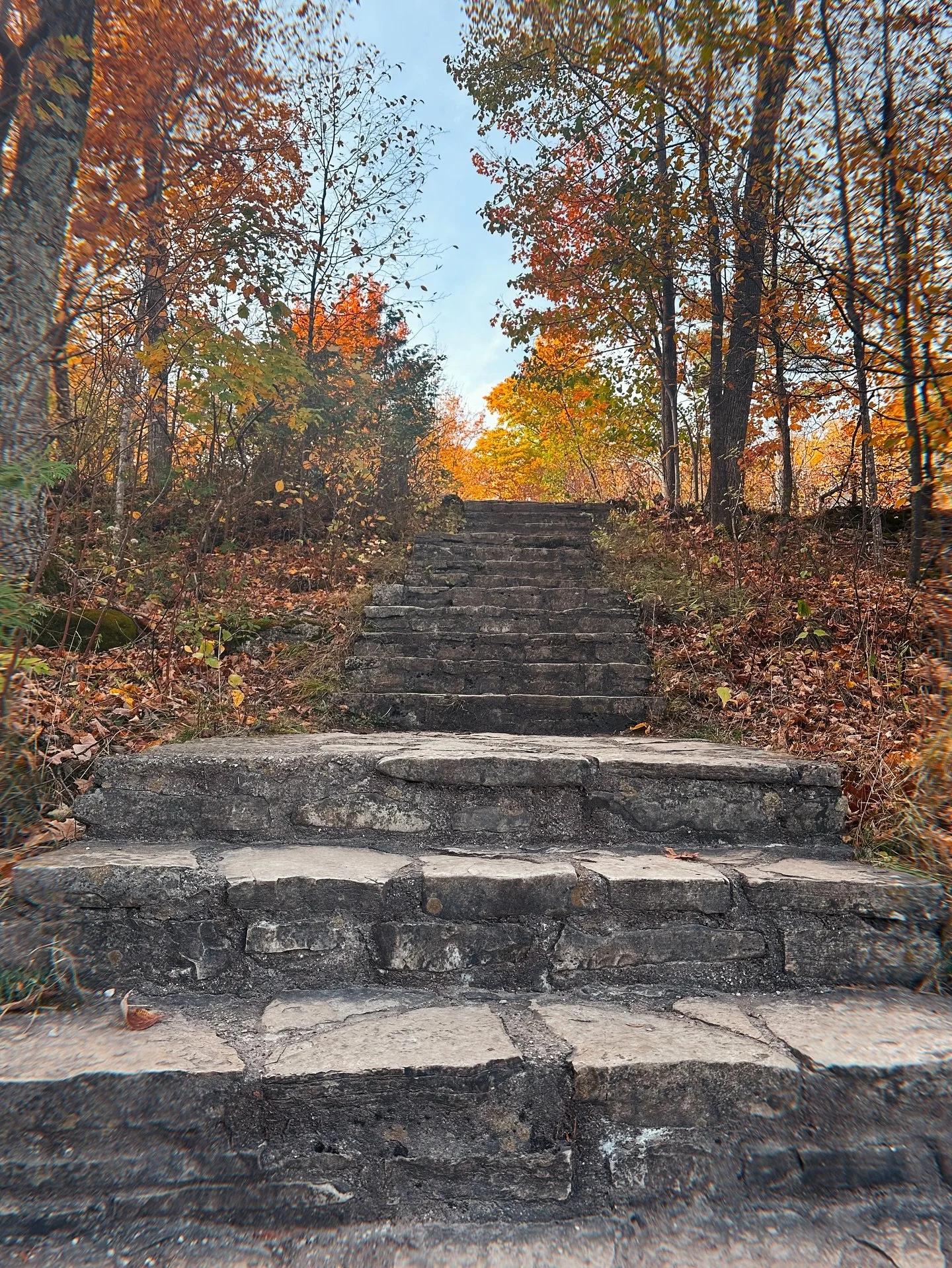 Life is a collection of steps, one foot in front of the other, never knowing exactly where it will take you.