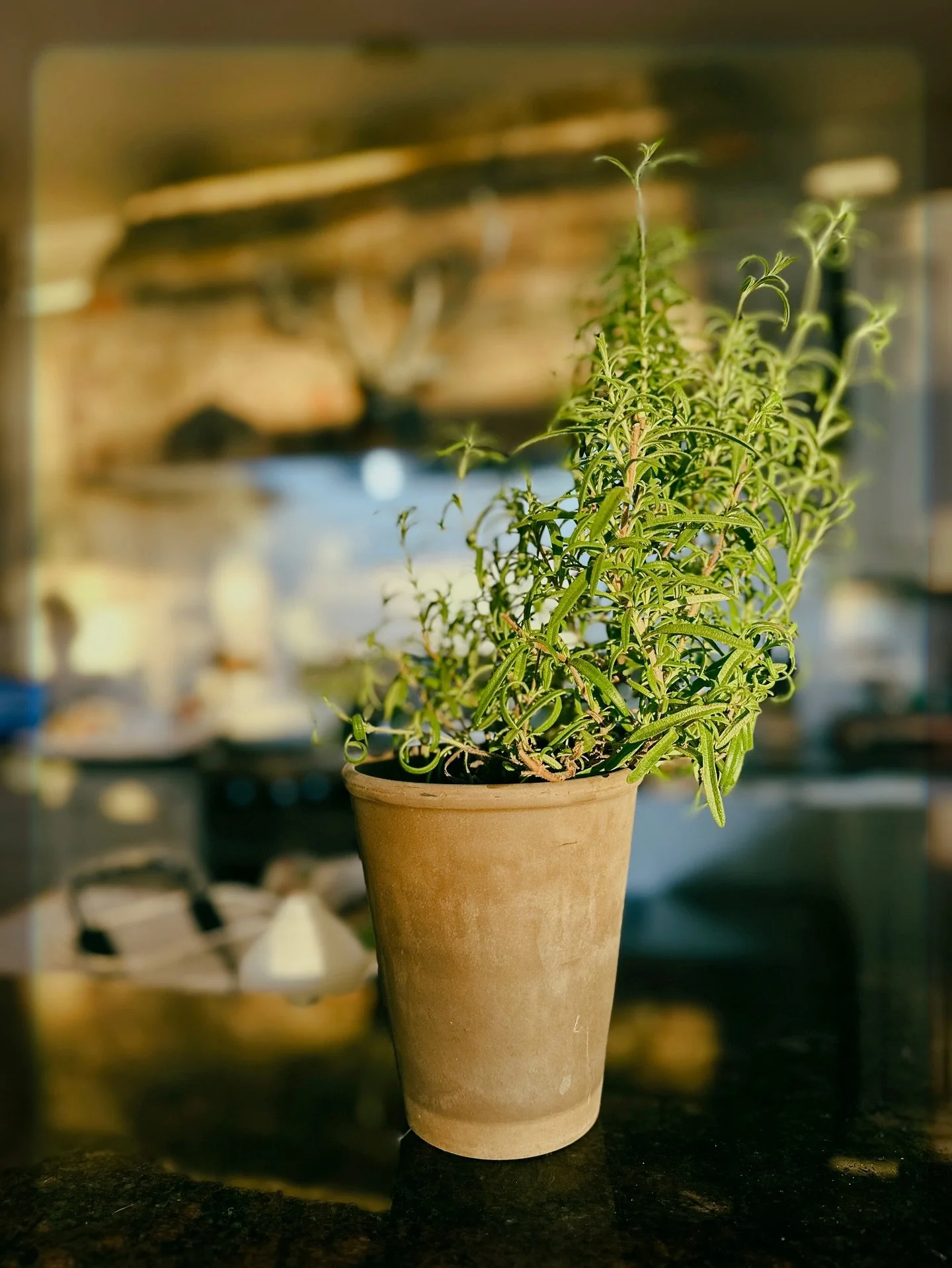 Show up for your relationships in the way you wish others would for you. Stop waiting for connection and start creating it.  Vulnerability is risky but it&rsquo;s how intimacy is built.
Pick up the phone
Send the text
Invite them for dinner 
Take a w