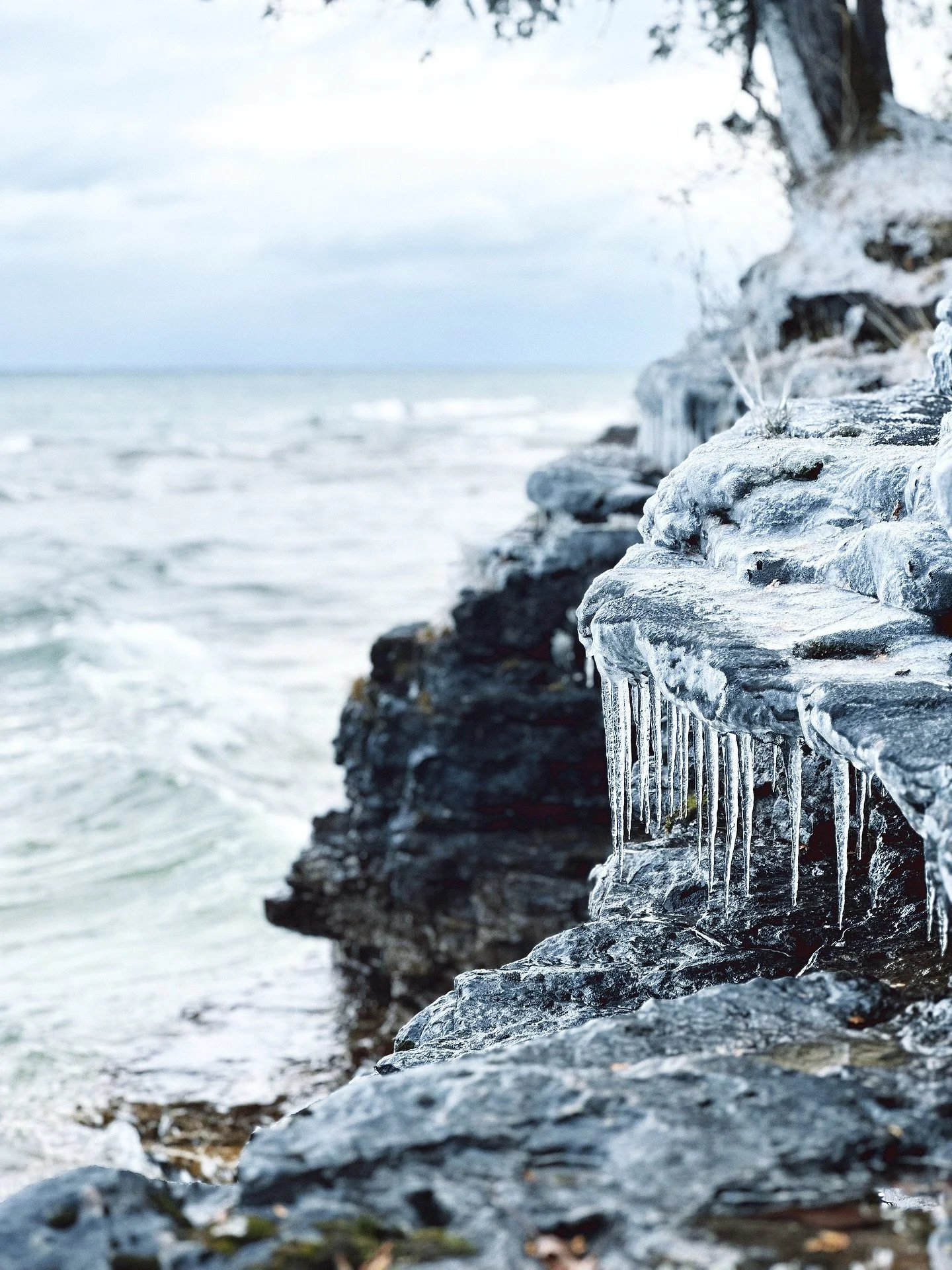 Yesterday&rsquo;s hike.  Because these parks are empty and nature is truly medicinal❄️