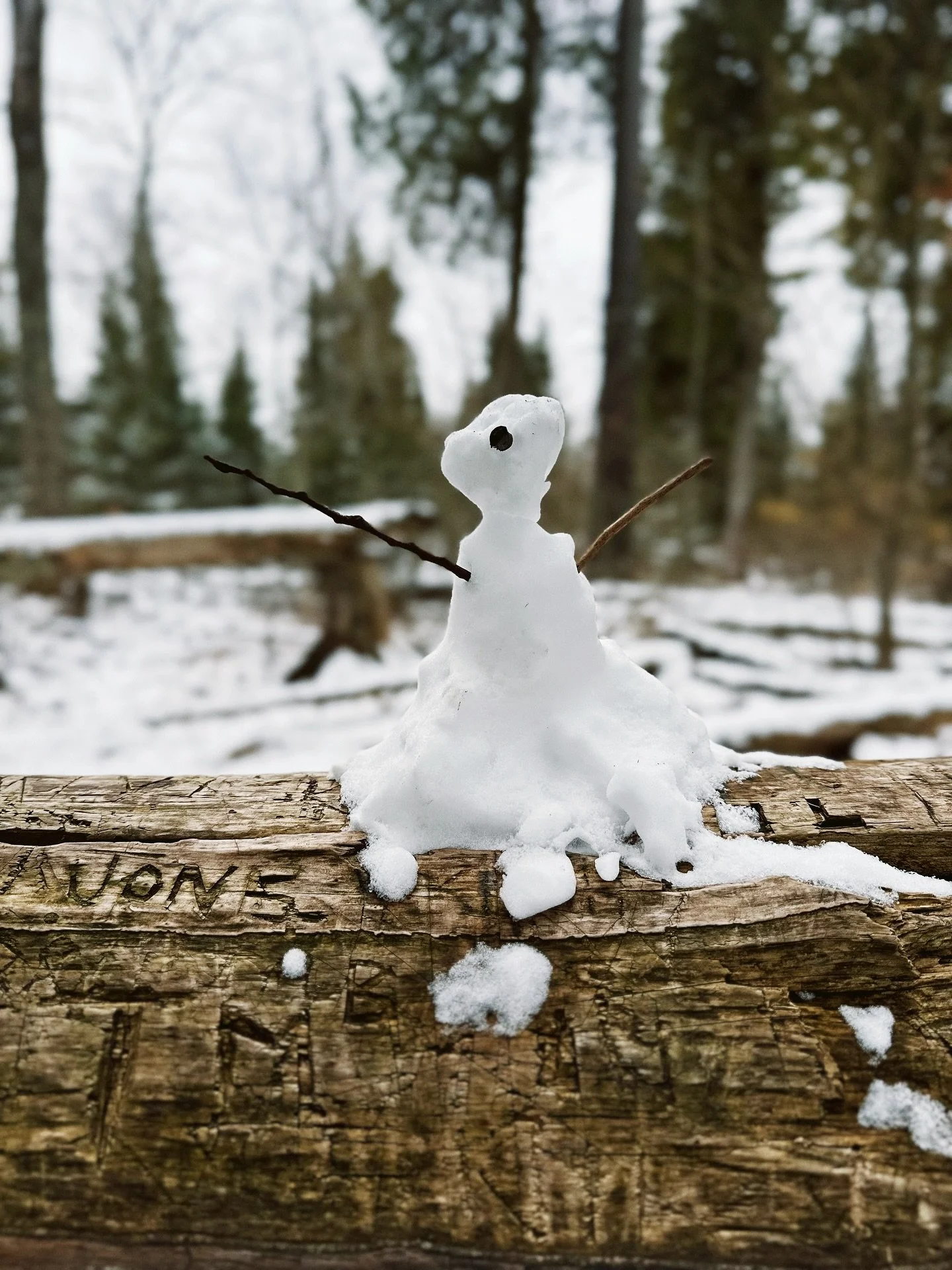 I haven&rsquo;t photographed professionally in years. My &lsquo;big girl&rsquo; camera is packed away for safe keeping &amp; it&rsquo;s just me and my little iPhone.  I still adore taking daily pictures of life, the way the soft morning sun hits the 