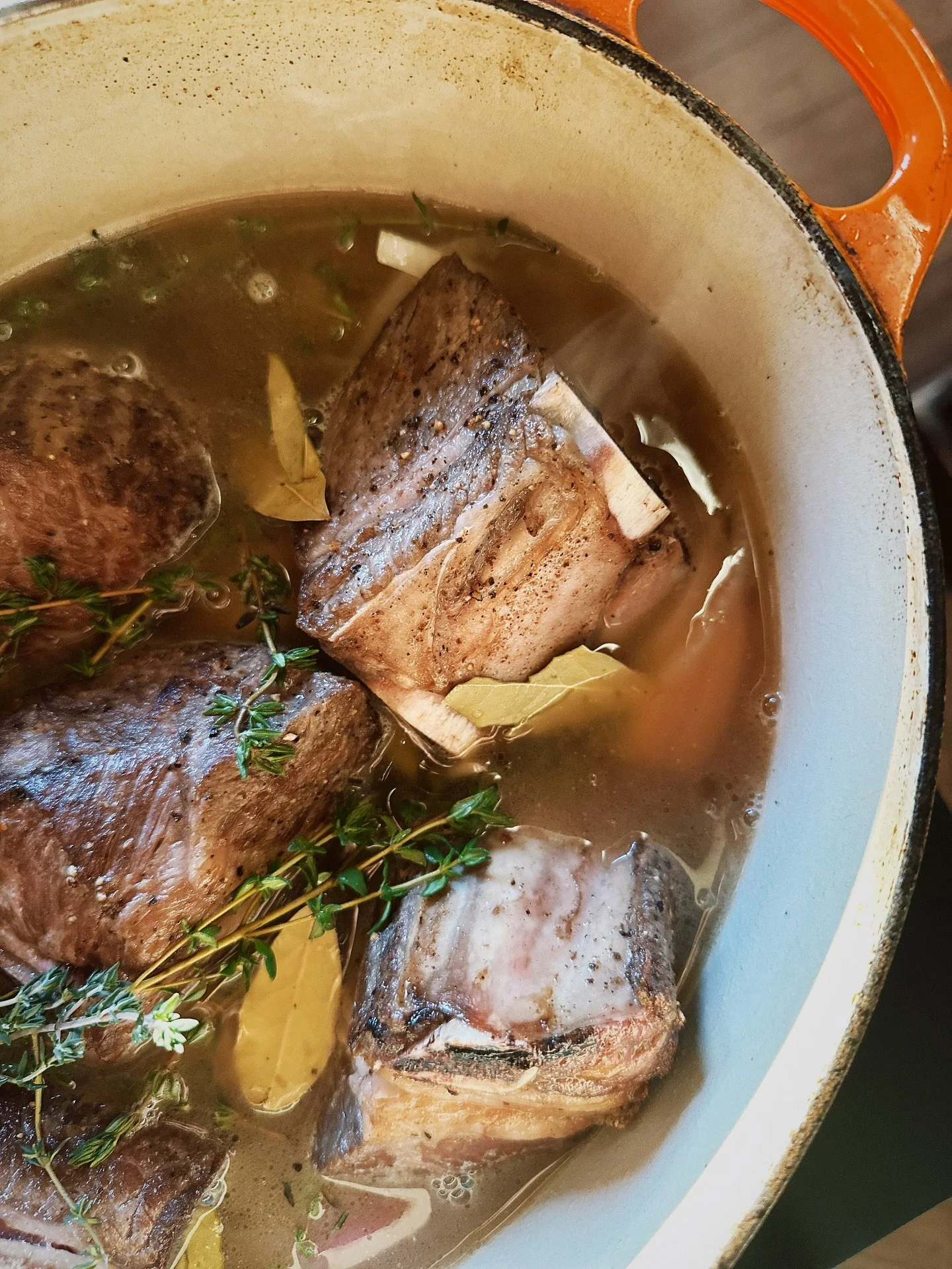 Cozy

#shortribs #glutenfree #fall #autumn #homecooking