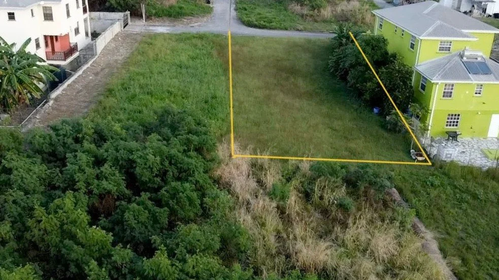 56985 - Squared.jpeg