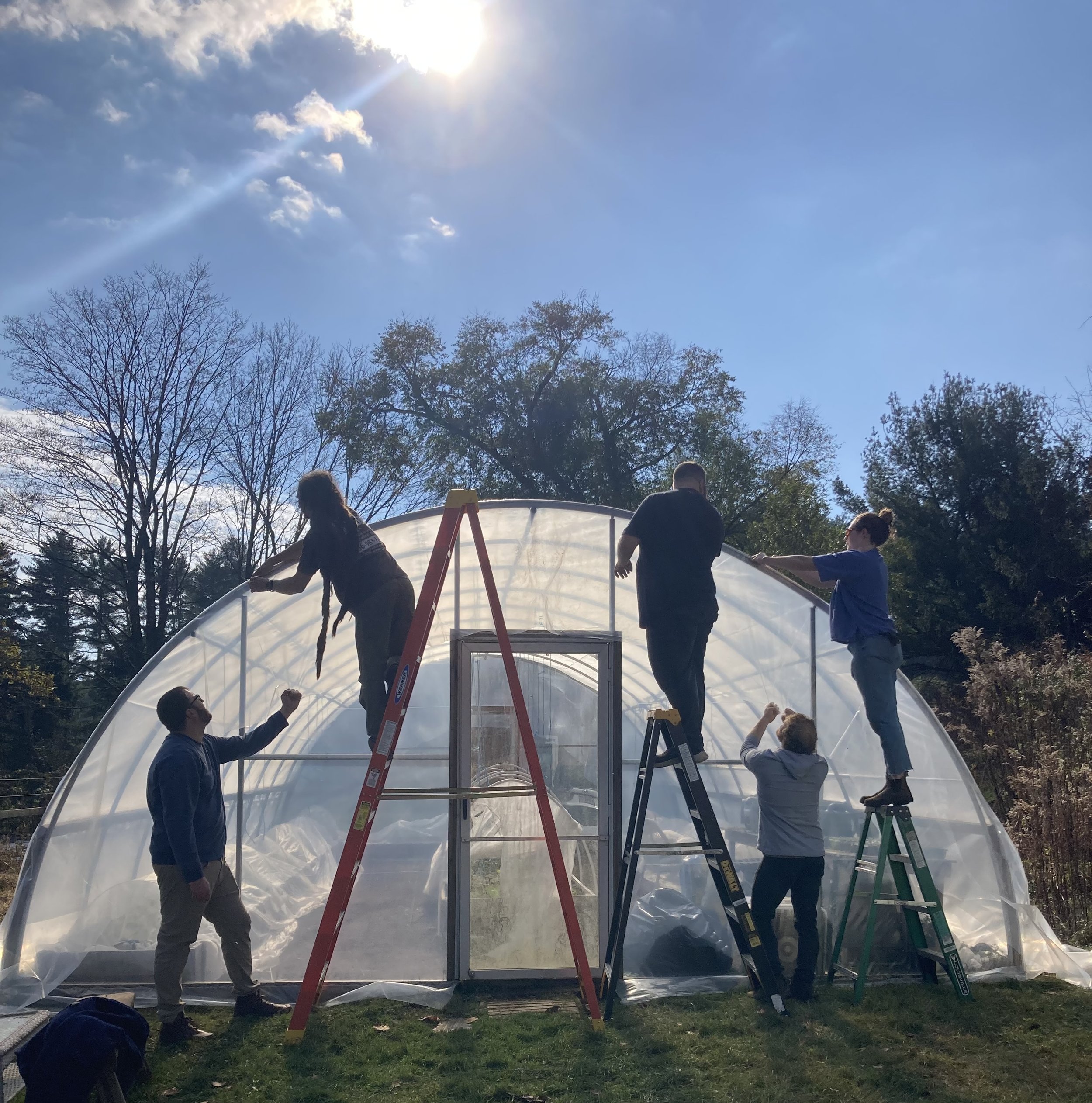 Volunteer Work Party