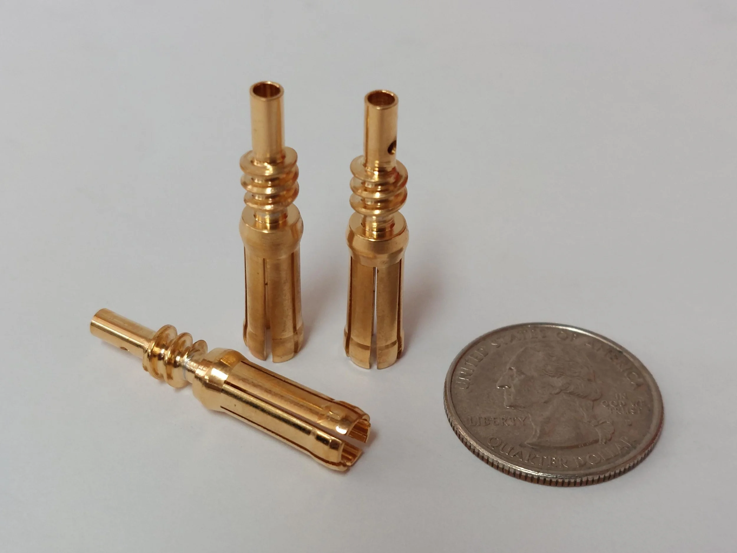 20240821_110902.JPG edit.JPG