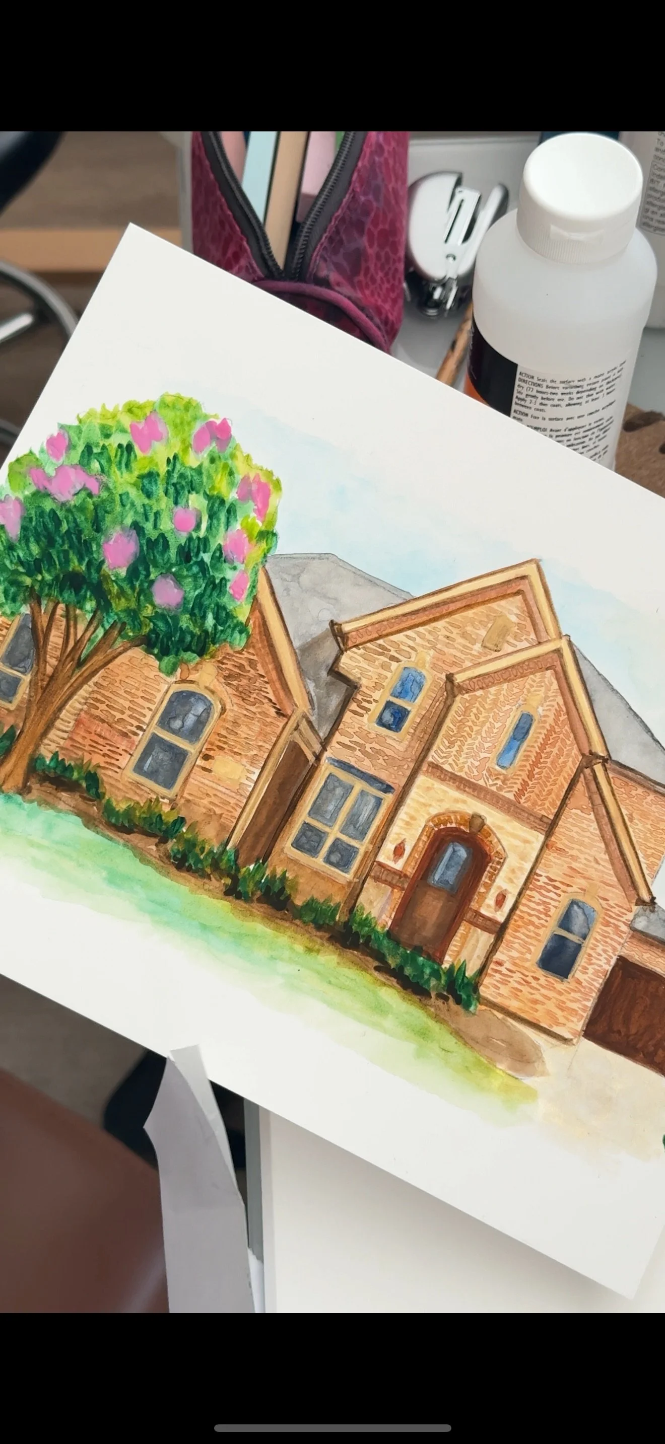 IMG_8037.jpeg