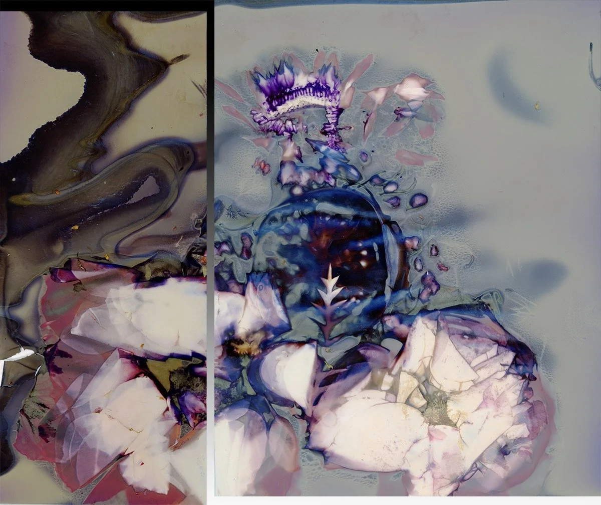 "Floating World" 28x23, archival pigment print, edition of 10