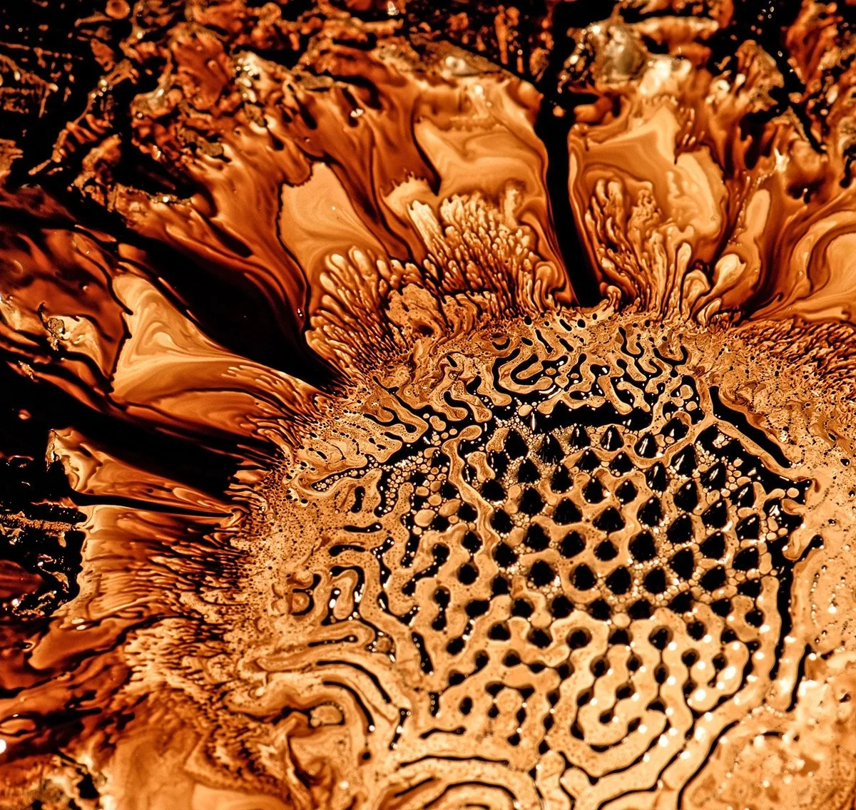"Sunflower" 22x21, archival pigment print, edition of 10