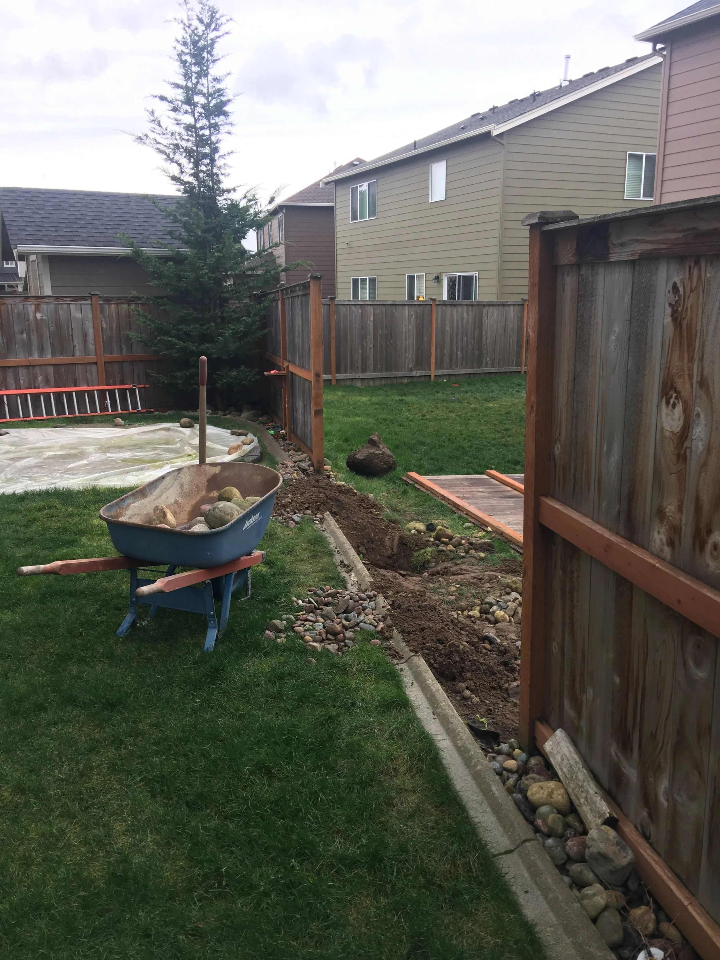 Damaged Fence